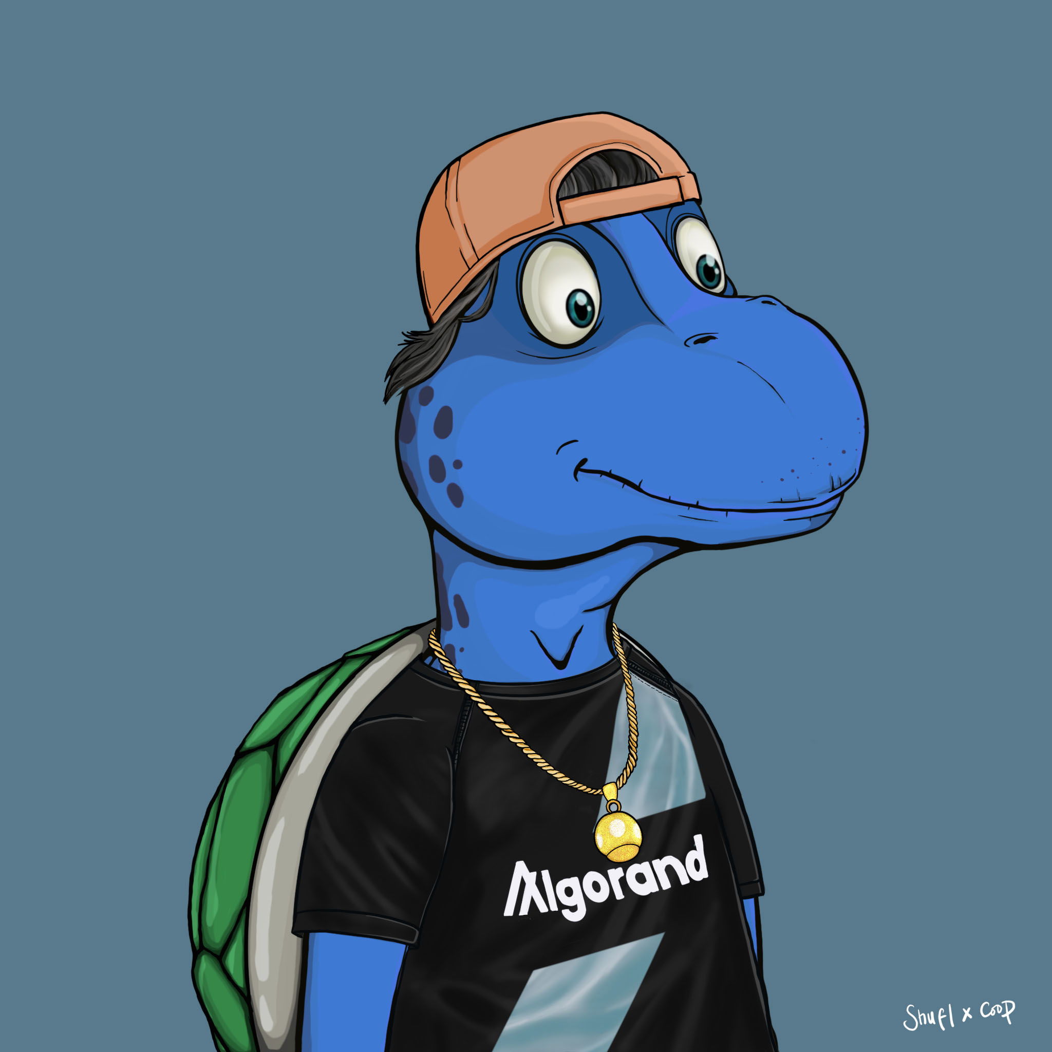 Coopa Troopa #2887 NFT on Algorand