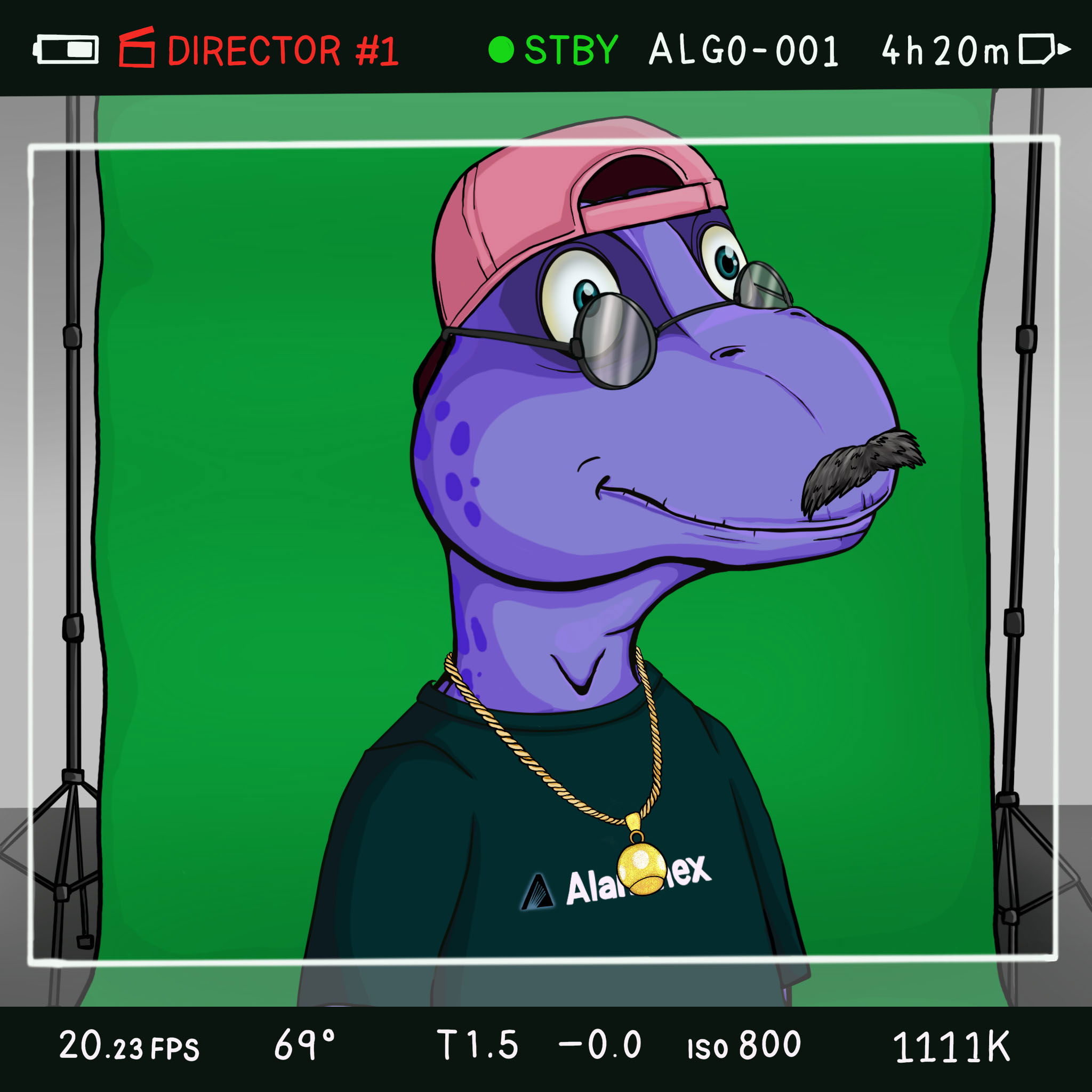 Coopa Troopa #2888 NFT on Algorand