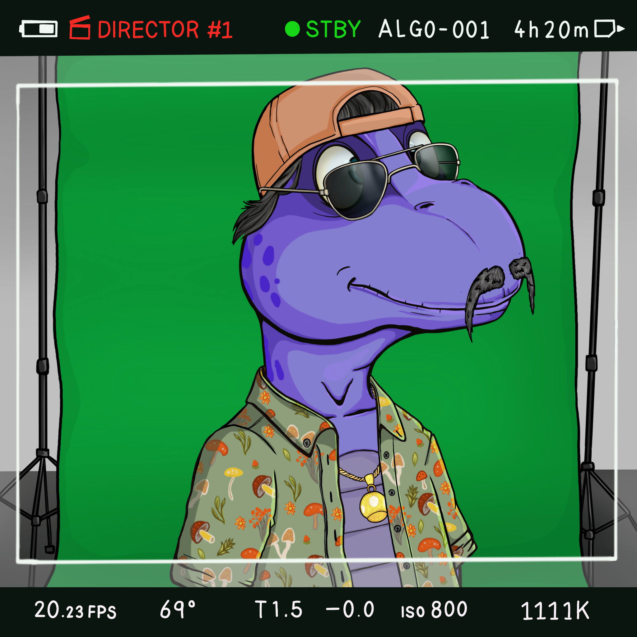 Coopa Troopa #2892 NFT on Algorand