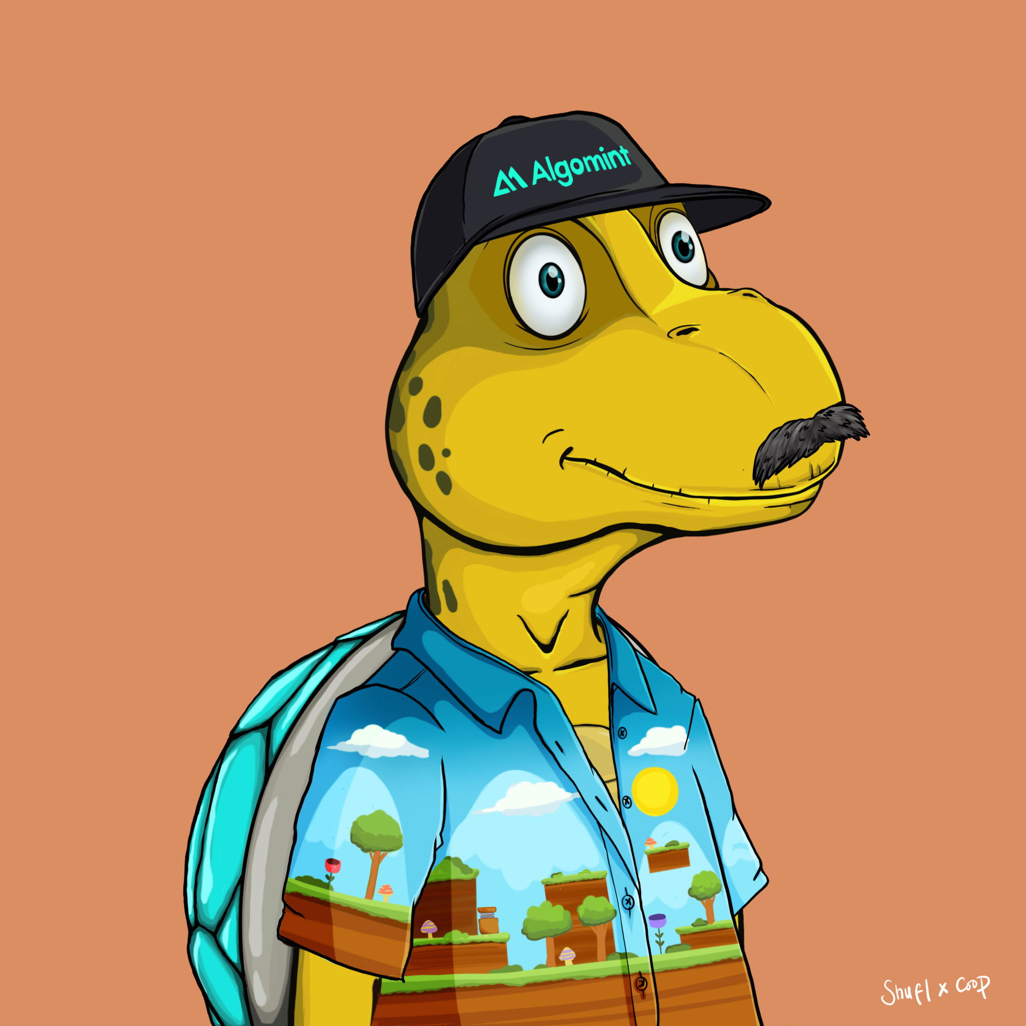 Coopa Troopa #2894 NFT on Algorand