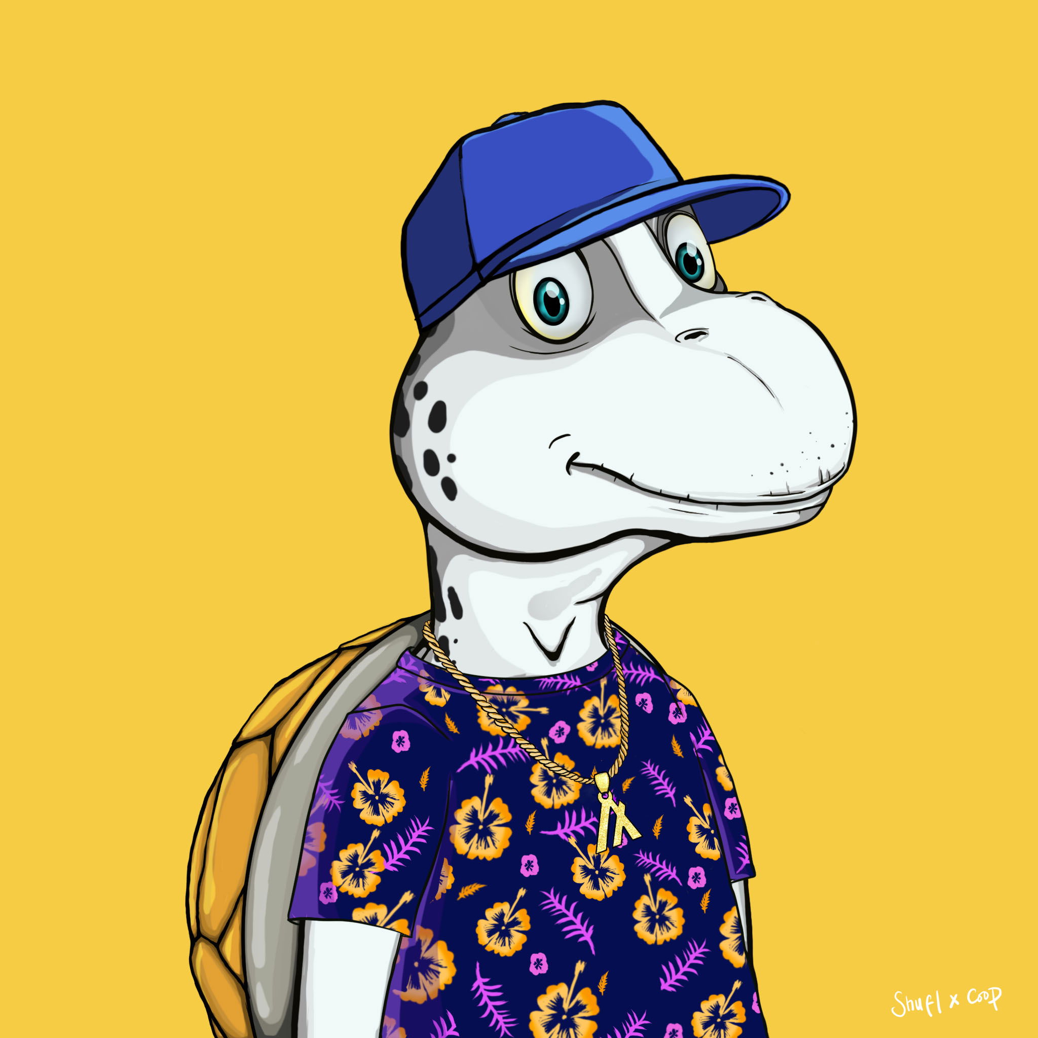 Coopa Troopa #2895 NFT on Algorand