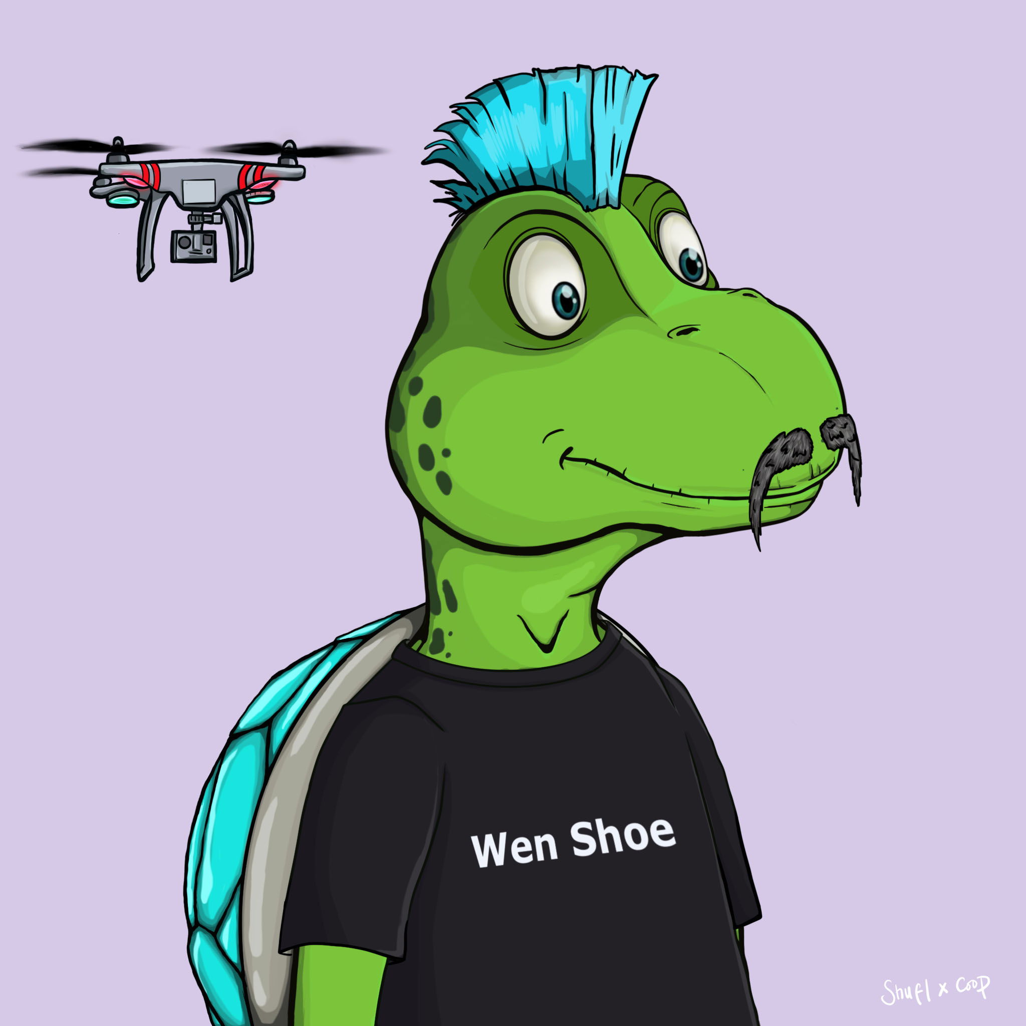 Coopa Troopa #2898 NFT on Algorand