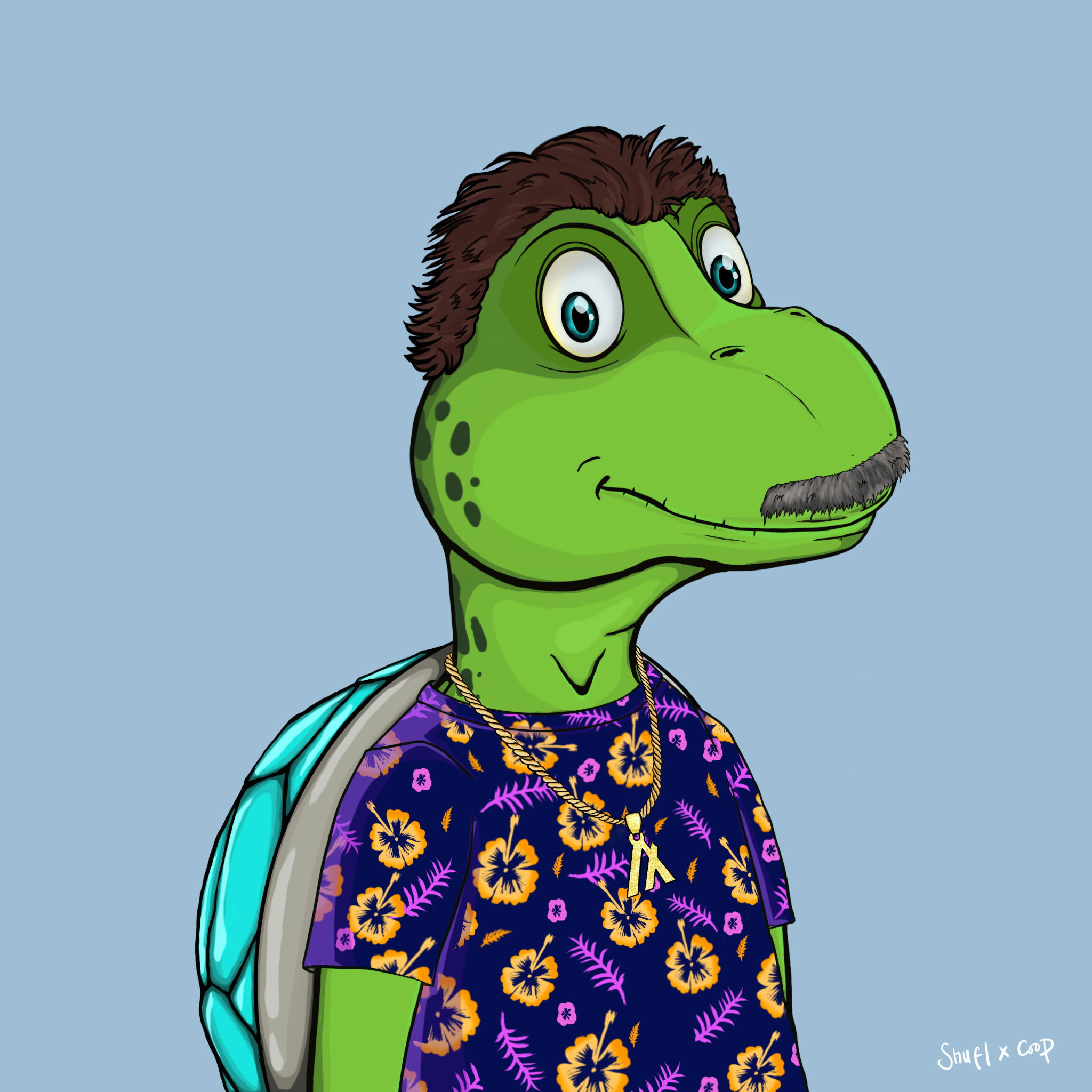 Coopa Troopa #2907 NFT on Algorand