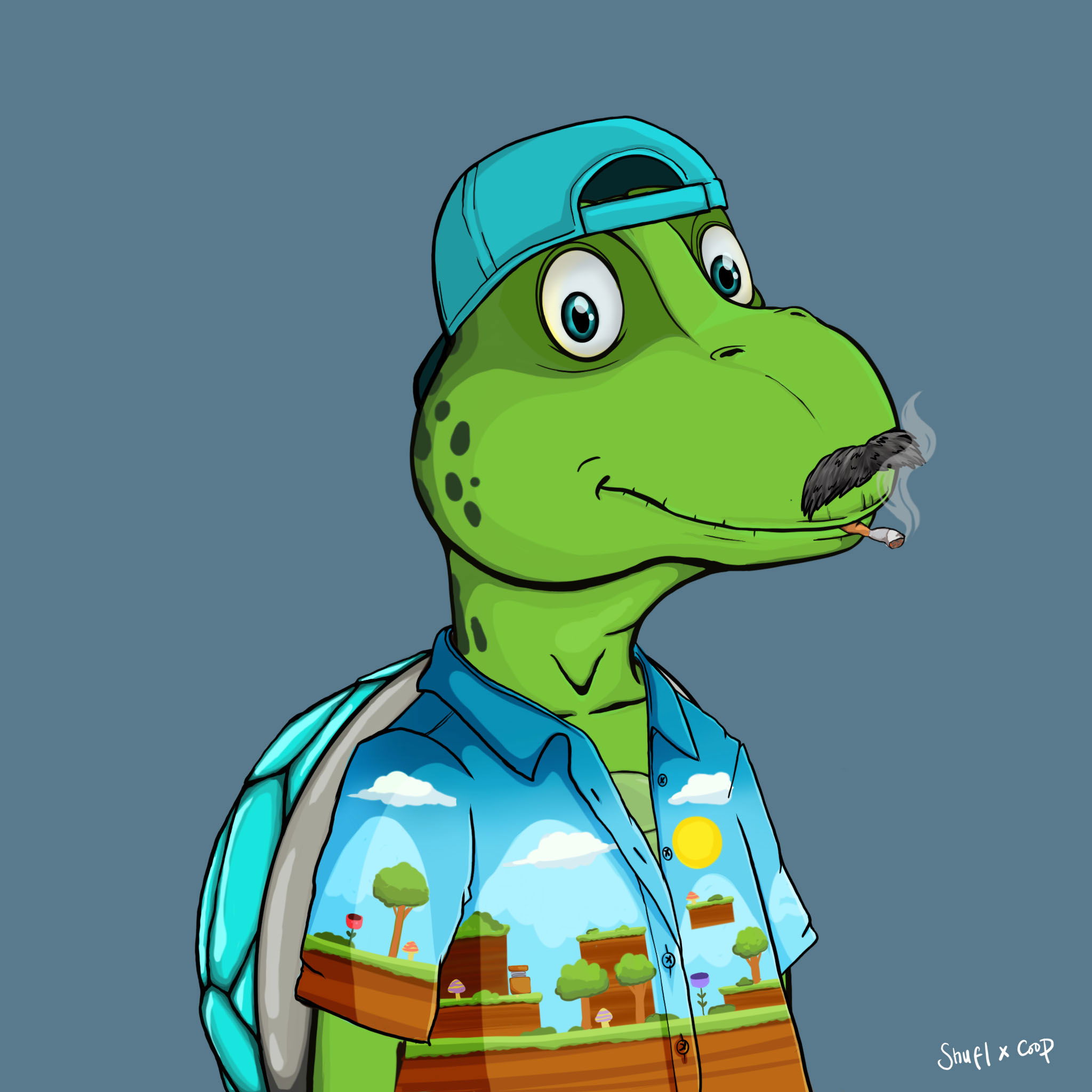 Coopa Troopa #2913 NFT on Algorand