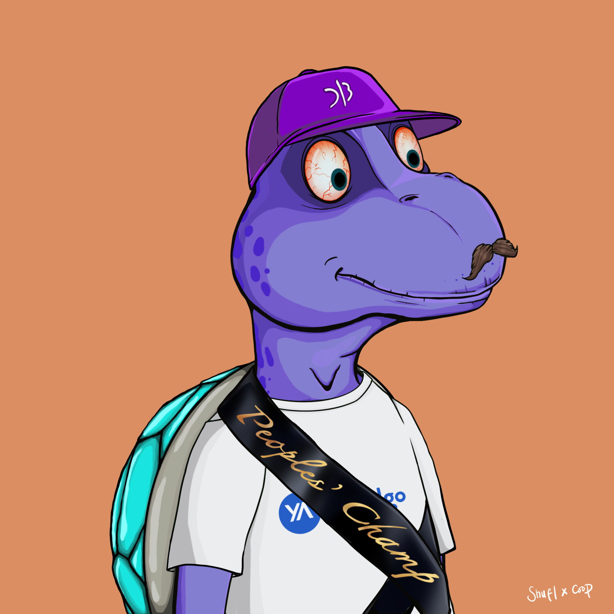 Coopa Troopa #2914 NFT on Algorand