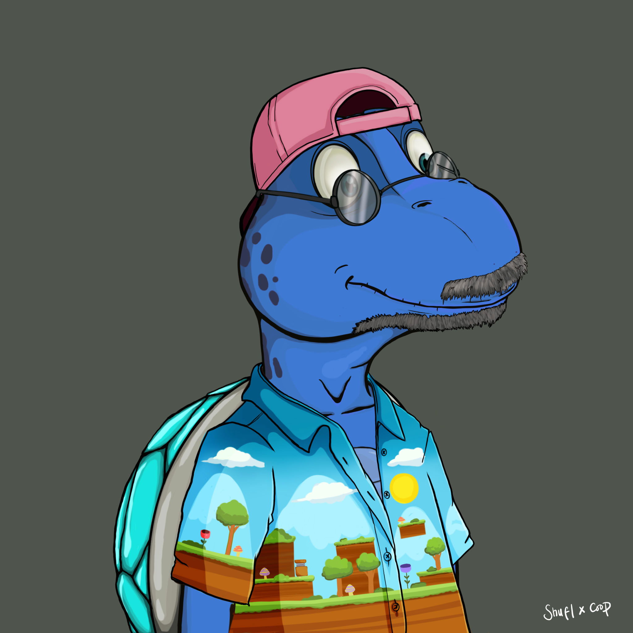 Coopa Troopa #2917 NFT on Algorand