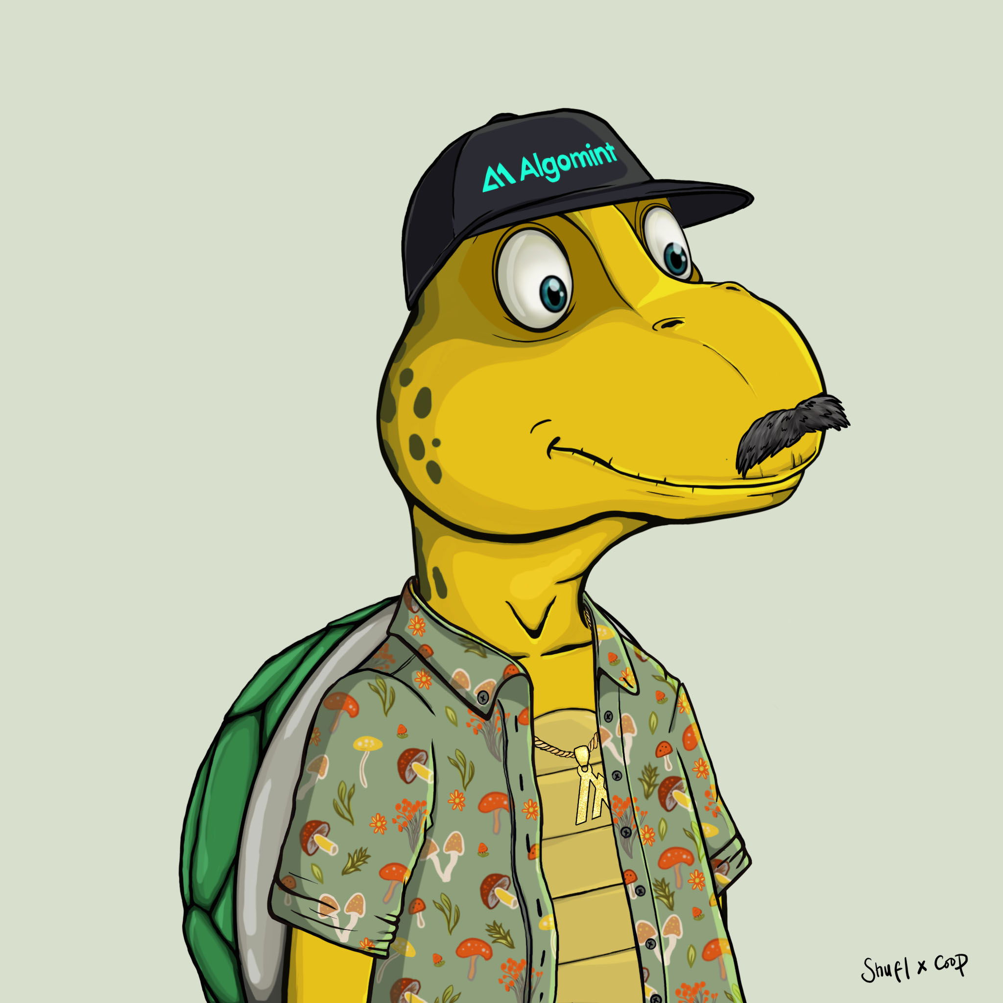 Coopa Troopa #2918 NFT on Algorand