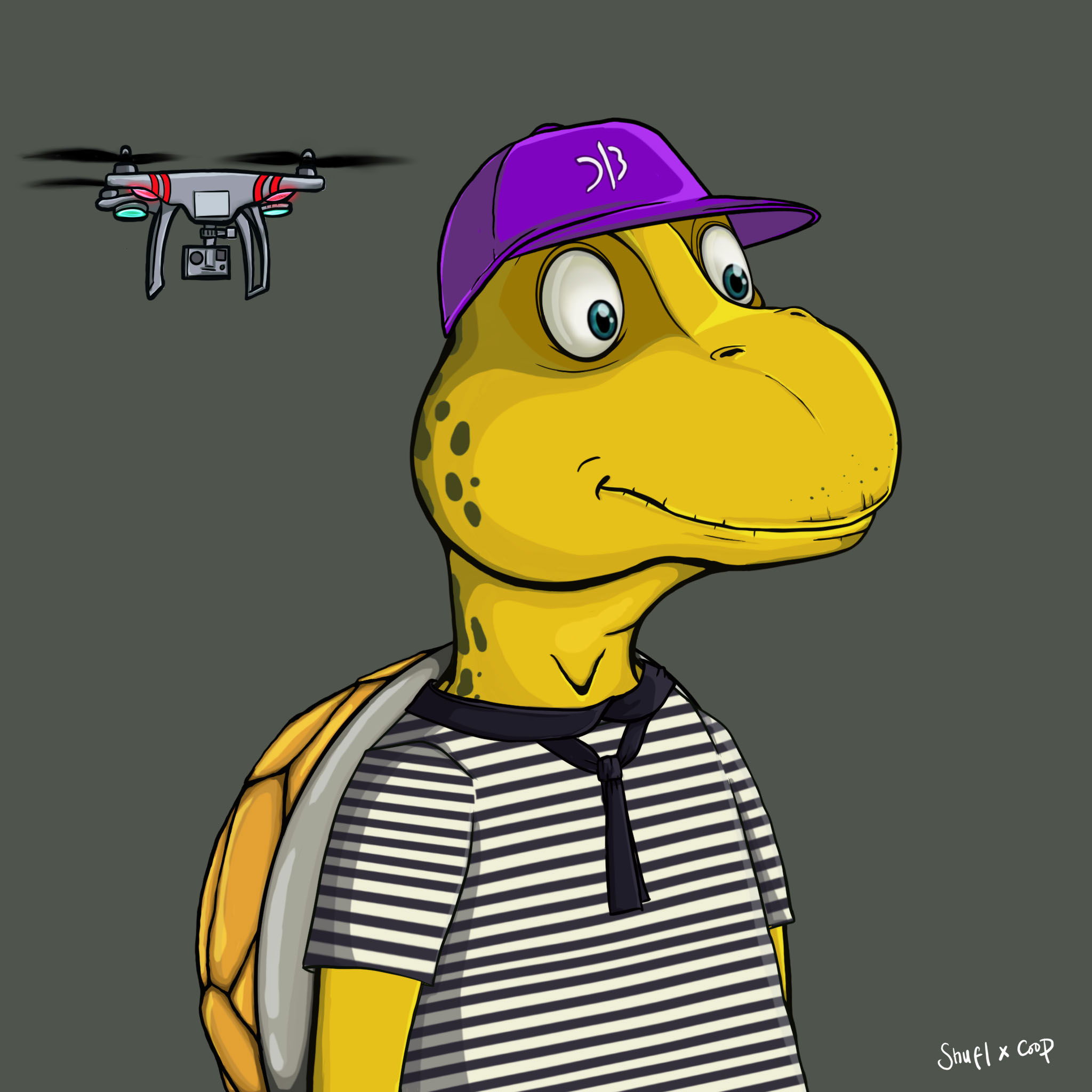 Coopa Troopa #2930 NFT on Algorand