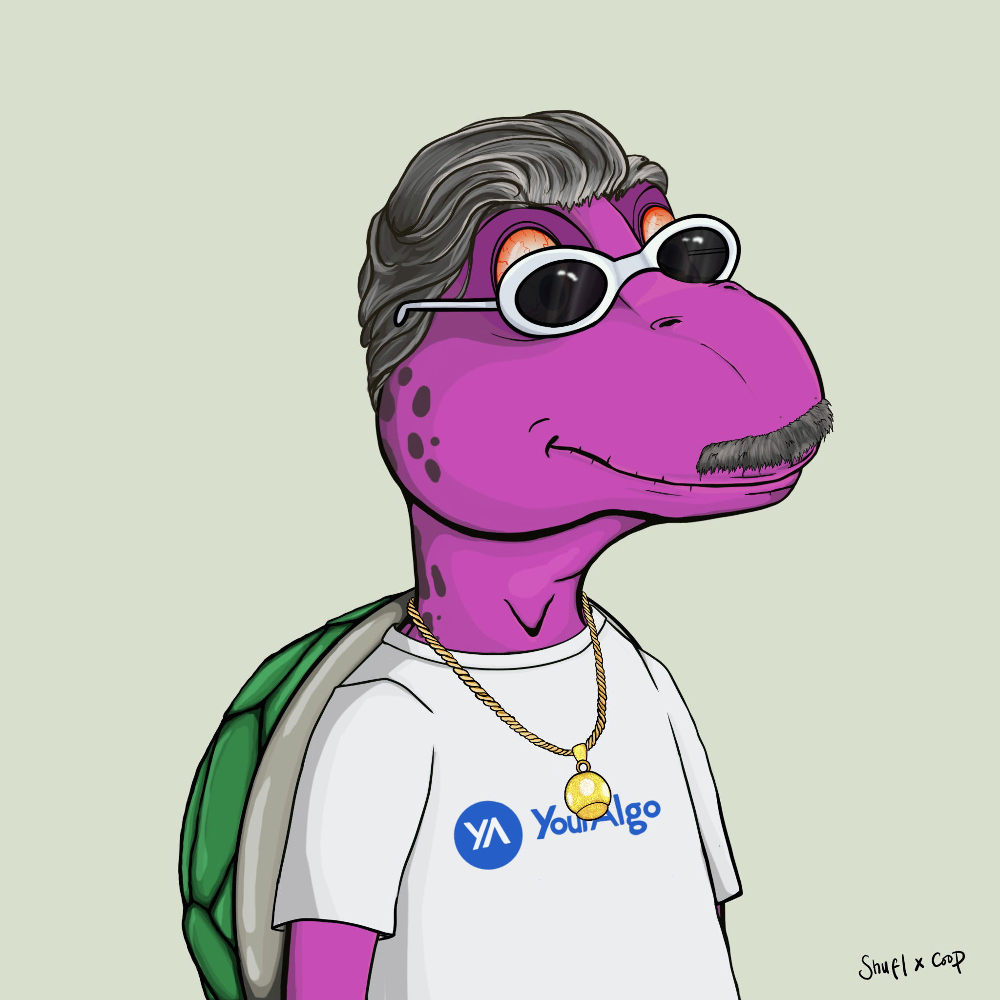 Coopa Troopa #2934 NFT on Algorand