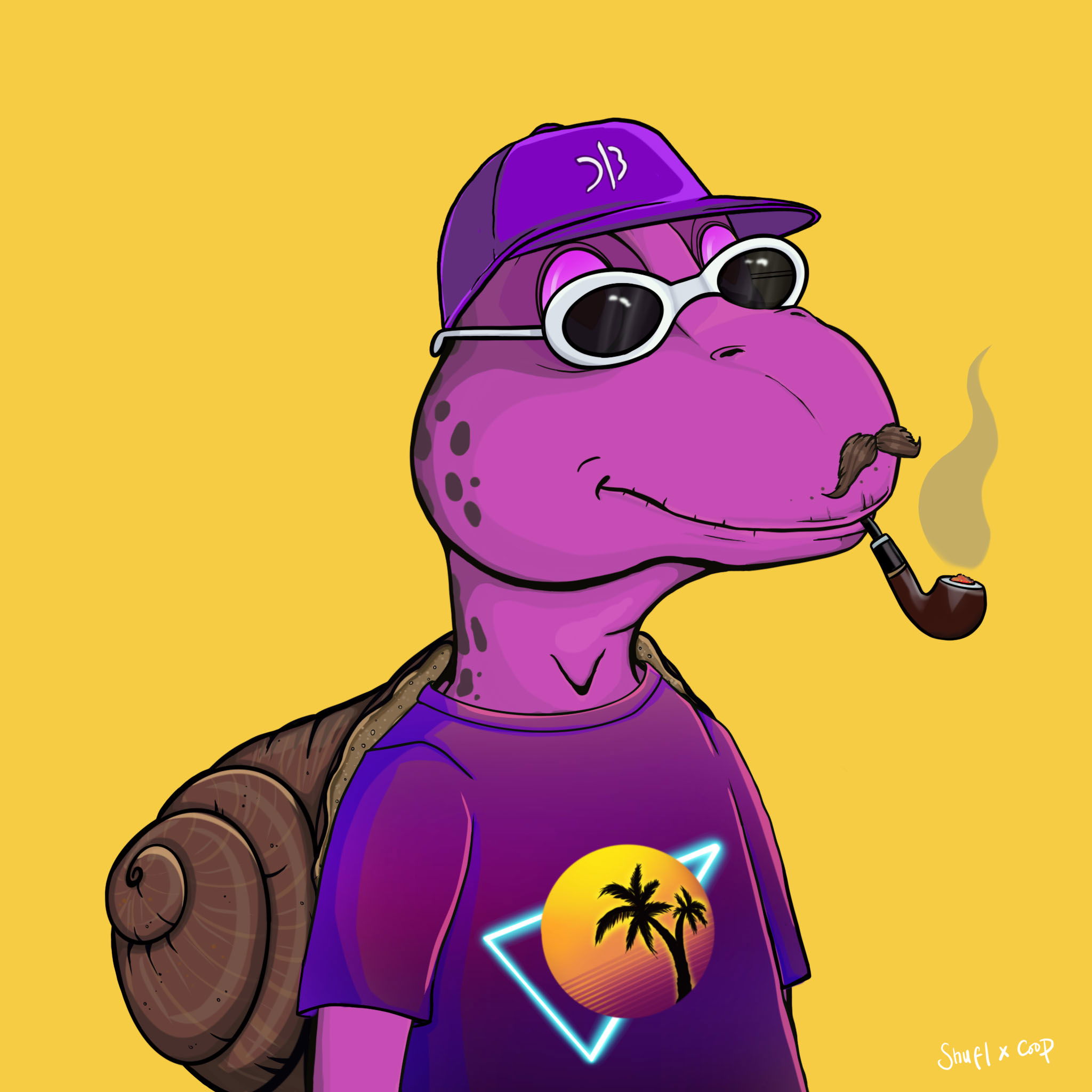 Coopa Troopa #2944 NFT on Algorand