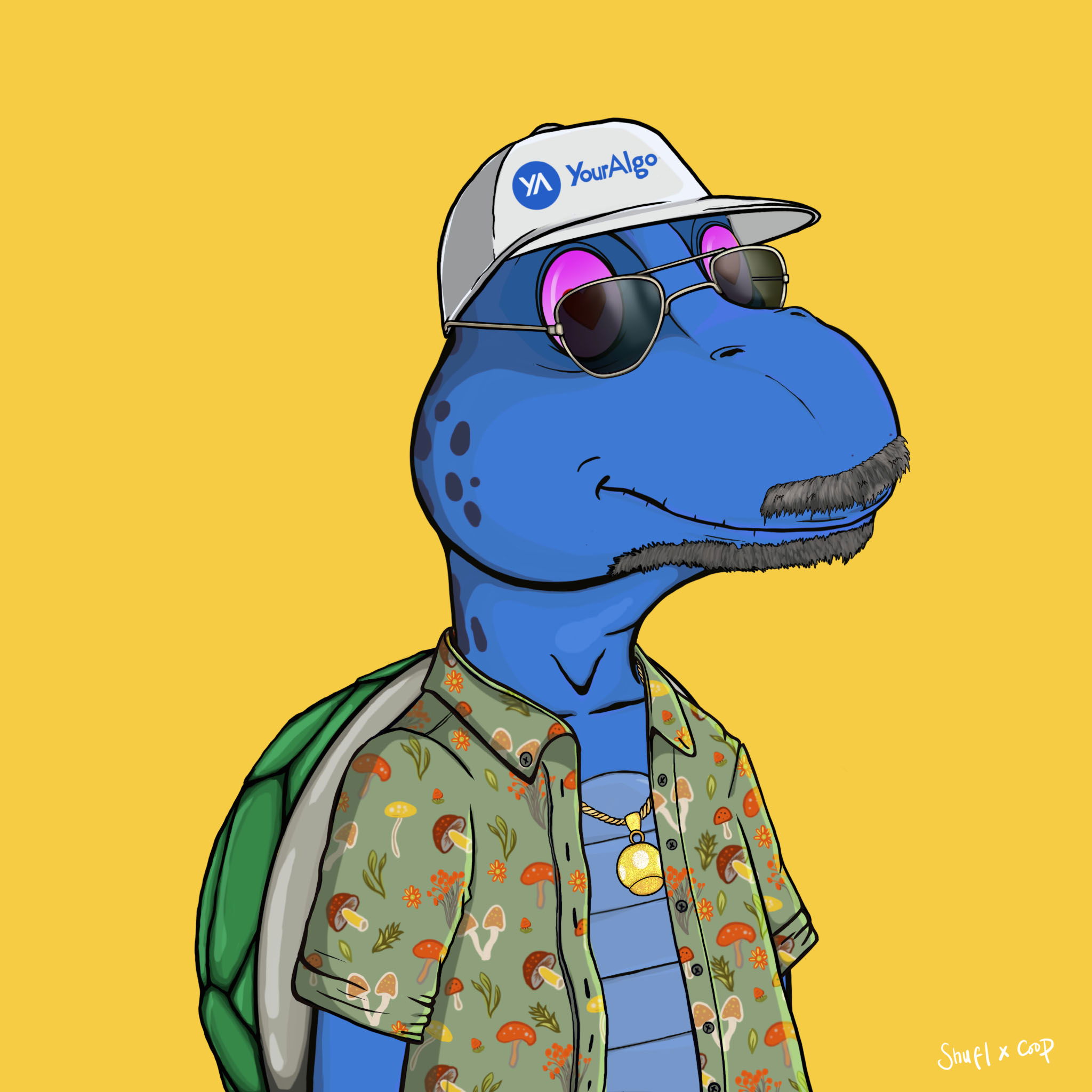 Coopa Troopa #2946 NFT on Algorand