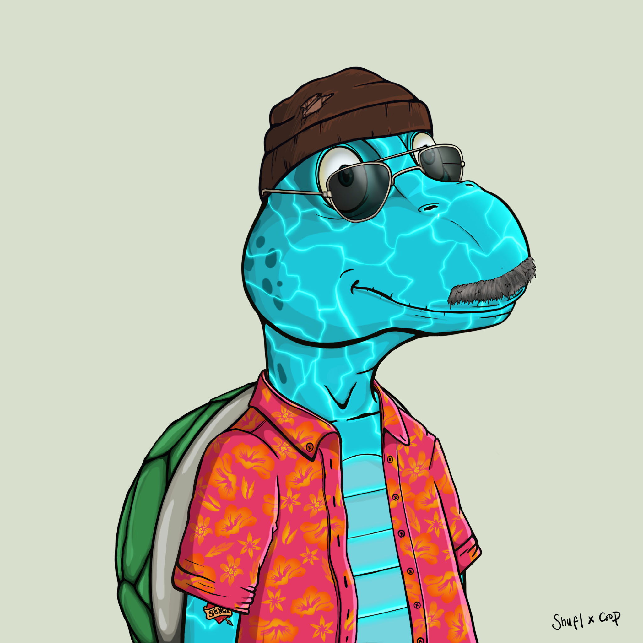 Coopa Troopa #295 NFT on Algorand