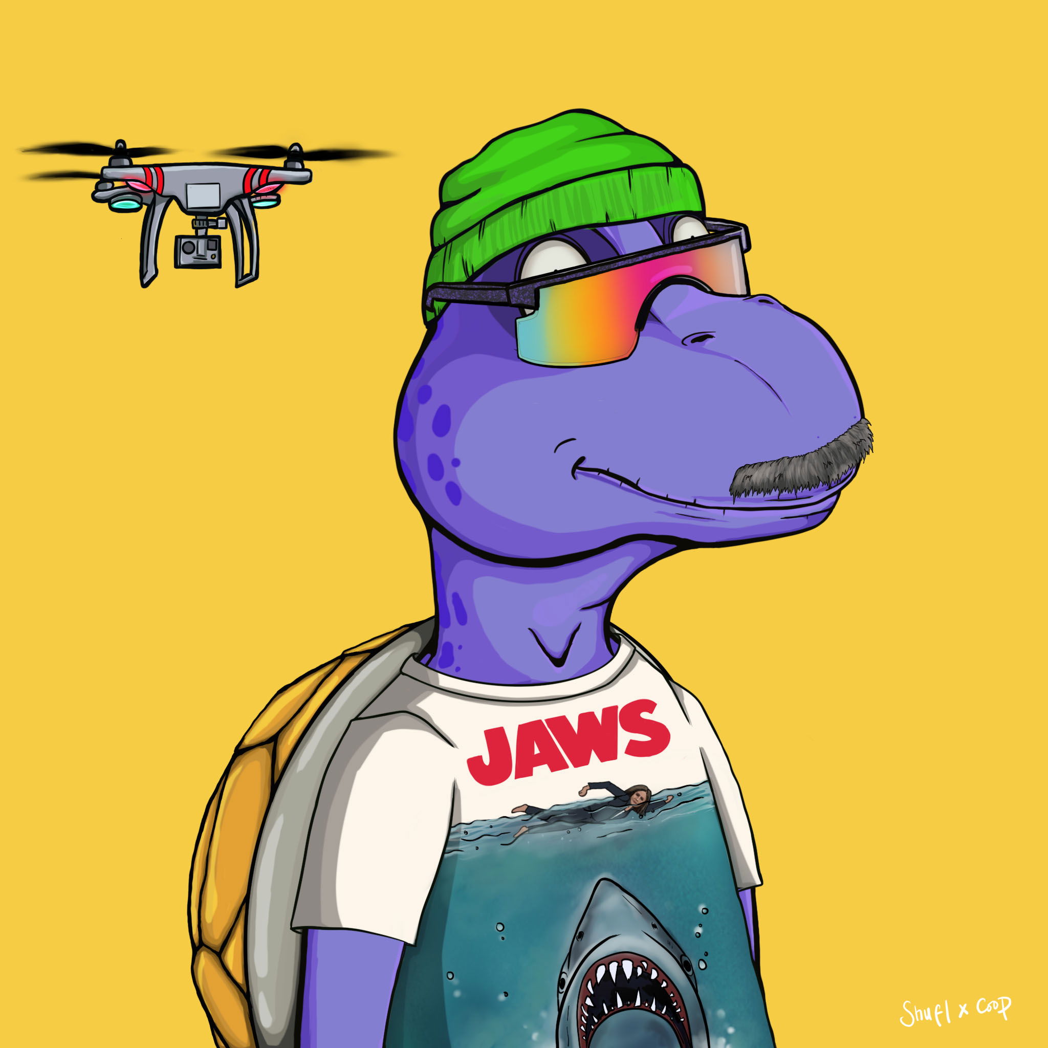 Coopa Troopa #2951 NFT on Algorand