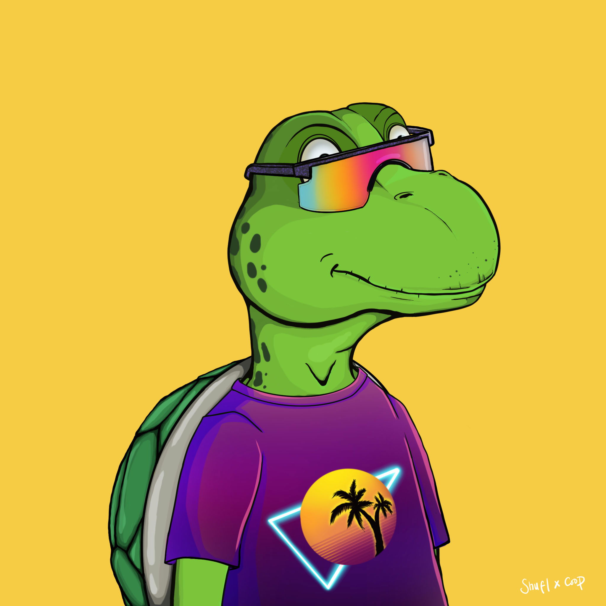 Coopa Troopa #2962 NFT on Algorand