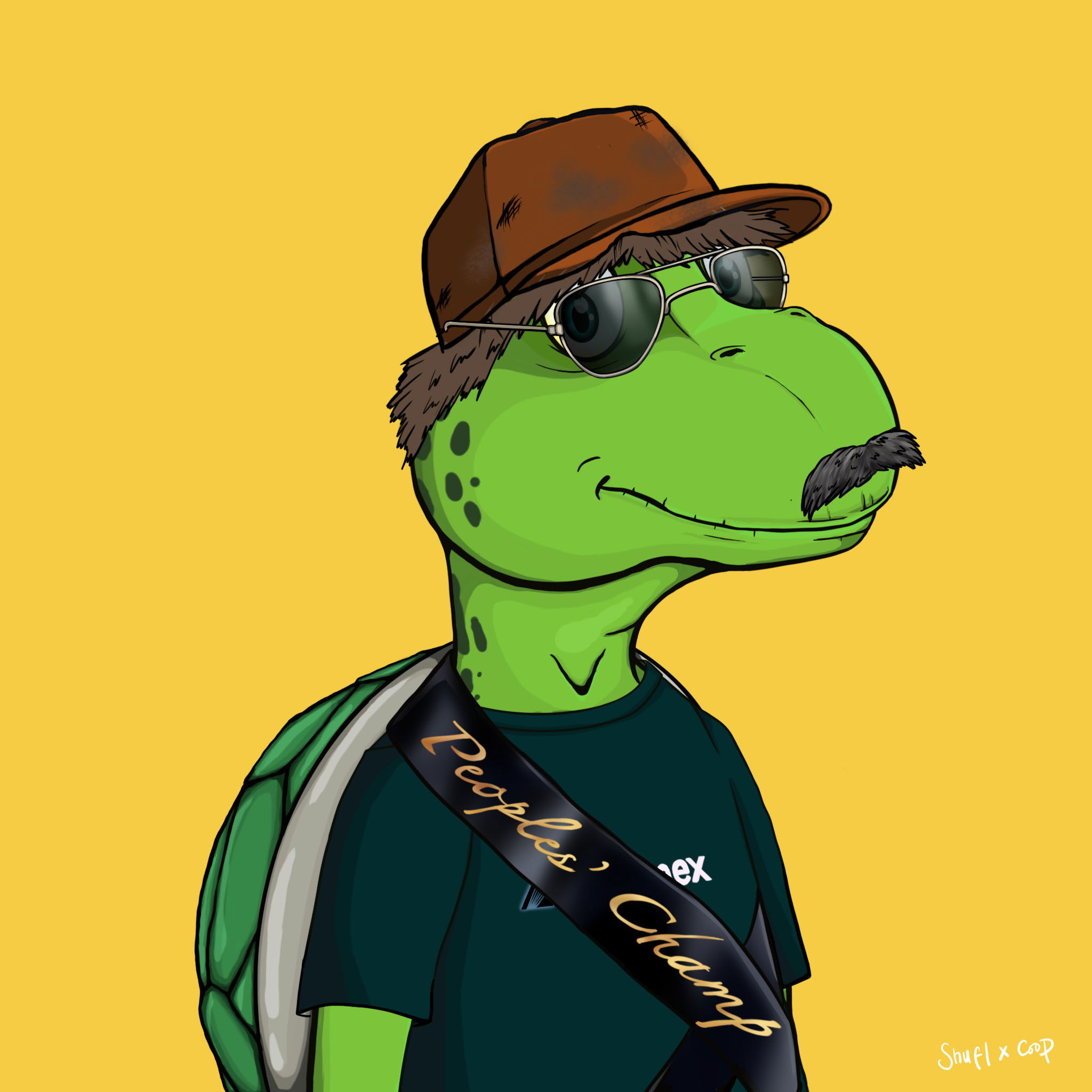 Coopa Troopa #2968 NFT on Algorand