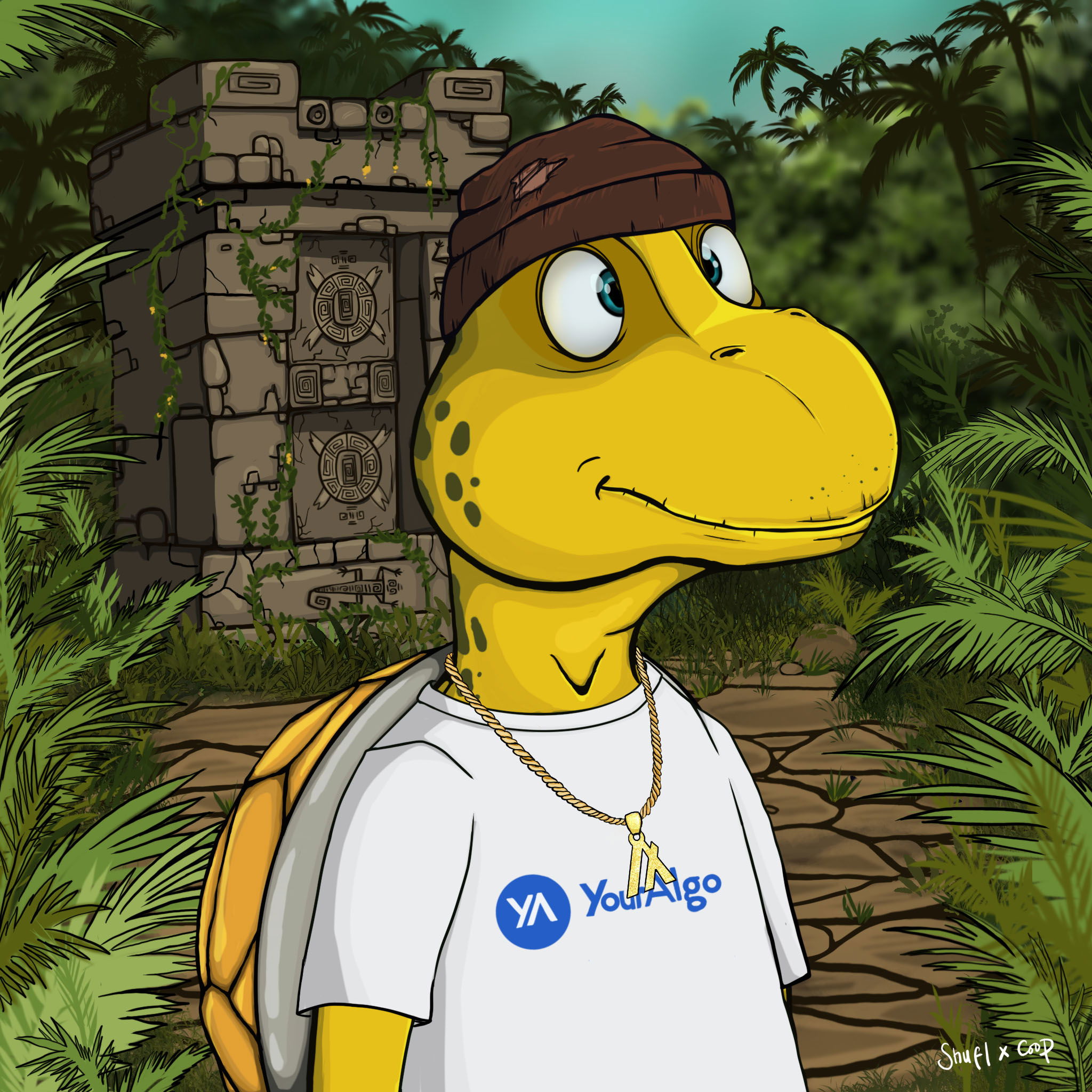 Coopa Troopa #2970 NFT on Algorand