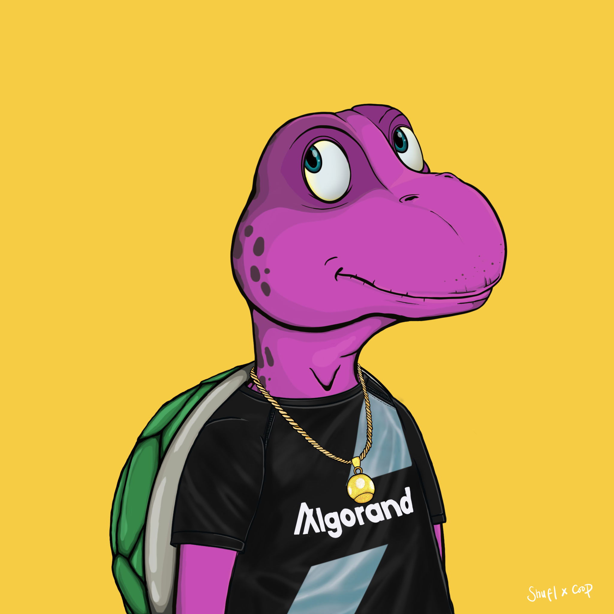 Coopa Troopa #2978 NFT on Algorand