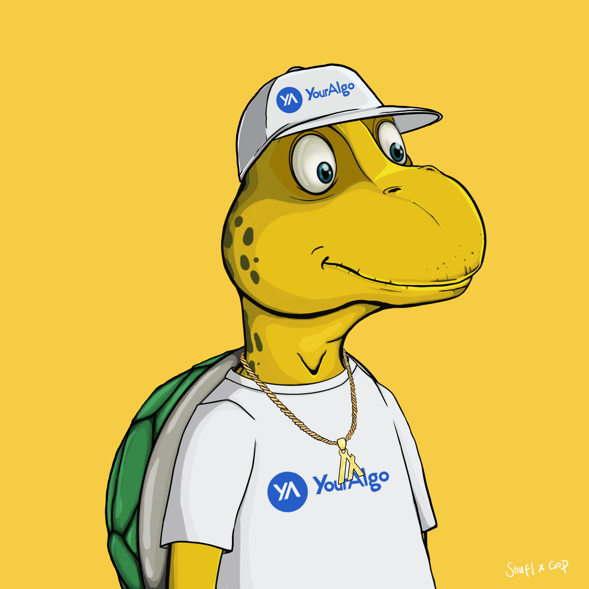 Coopa Troopa #2985 NFT on Algorand