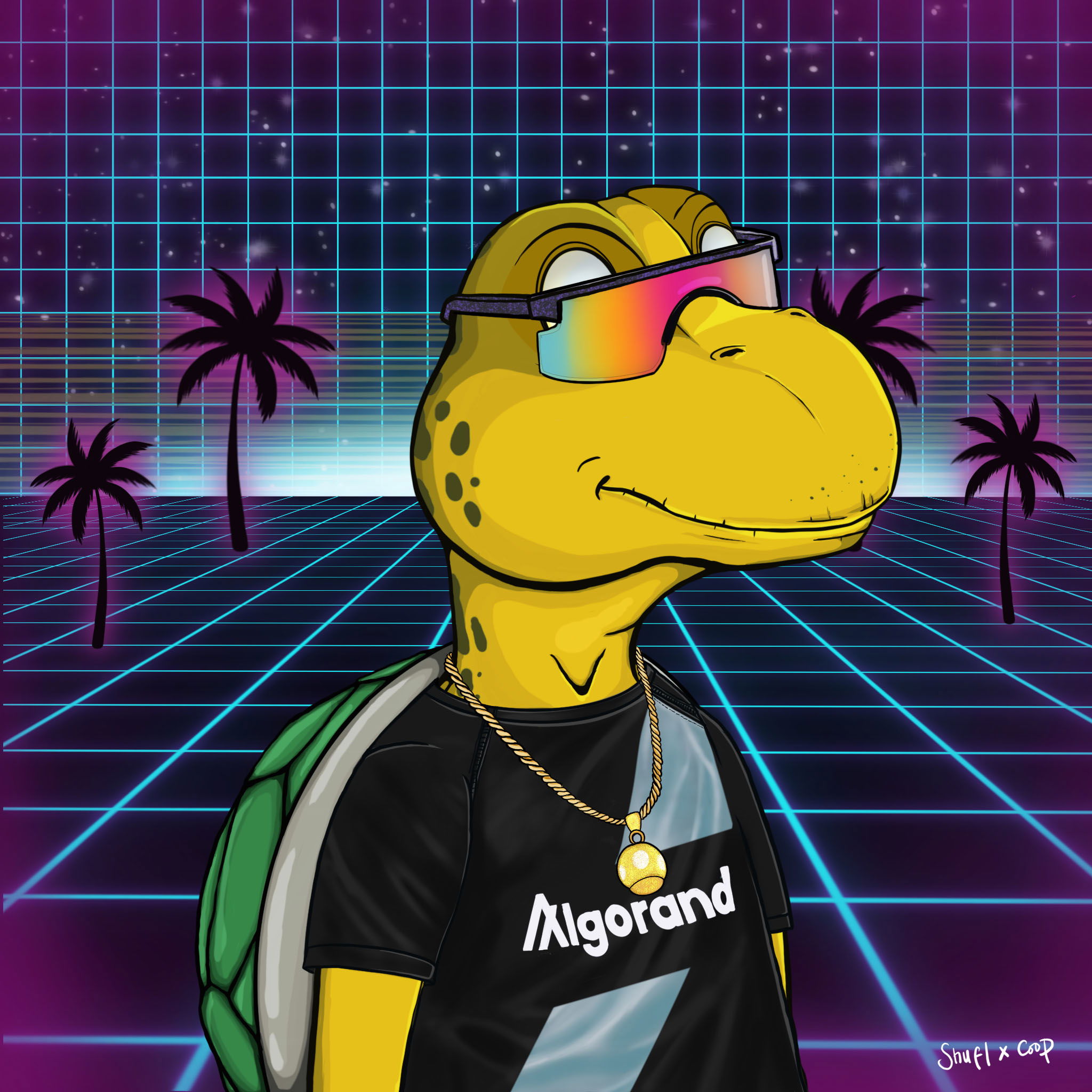 Coopa Troopa #2994 NFT on Algorand