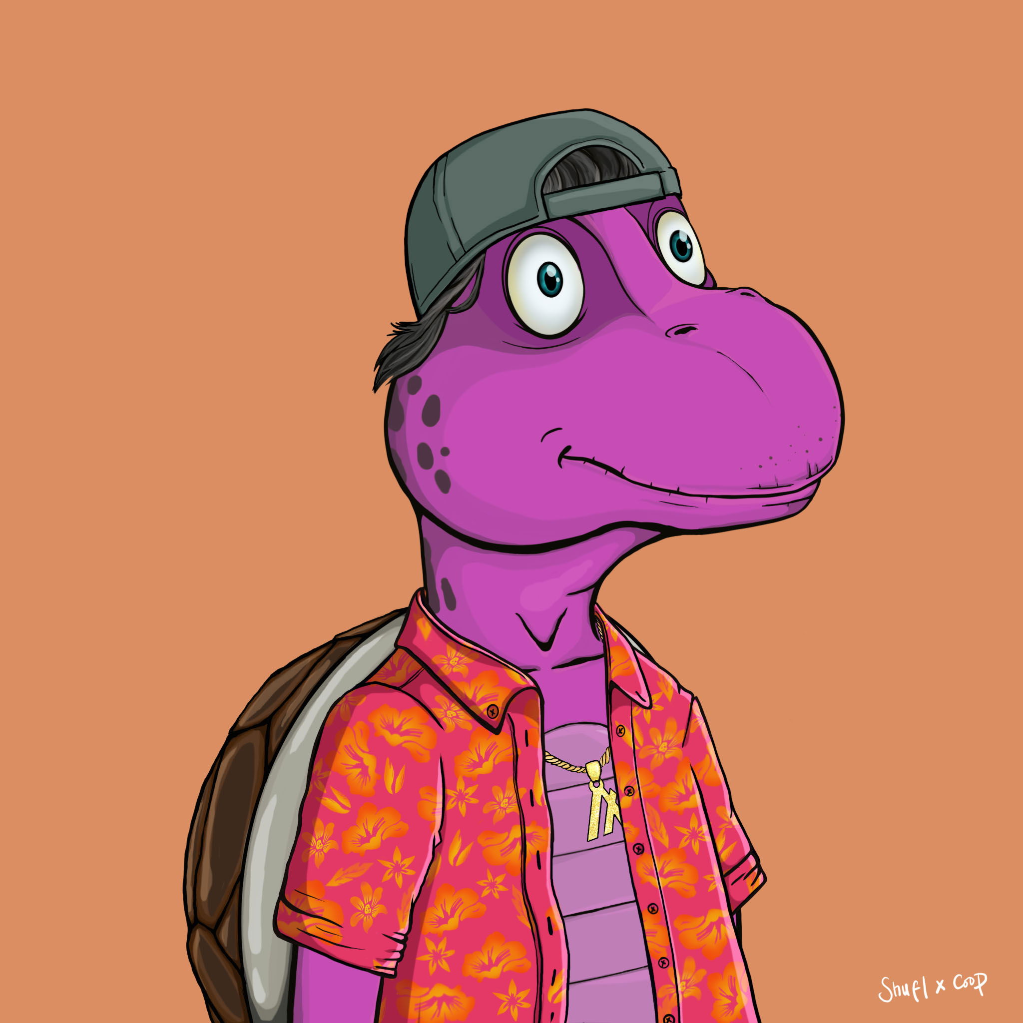 Coopa Troopa #2997 NFT on Algorand