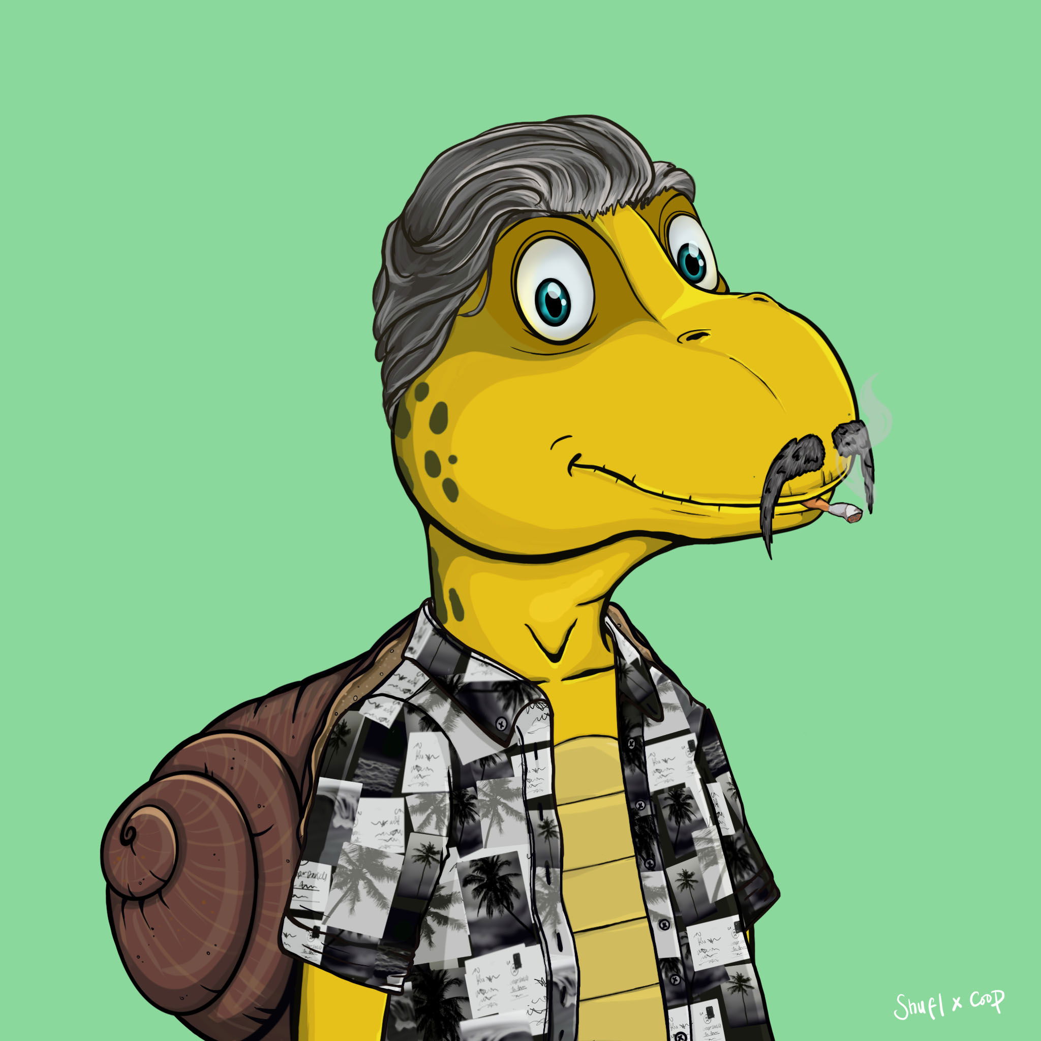 Coopa Troopa #340 NFT on Algorand