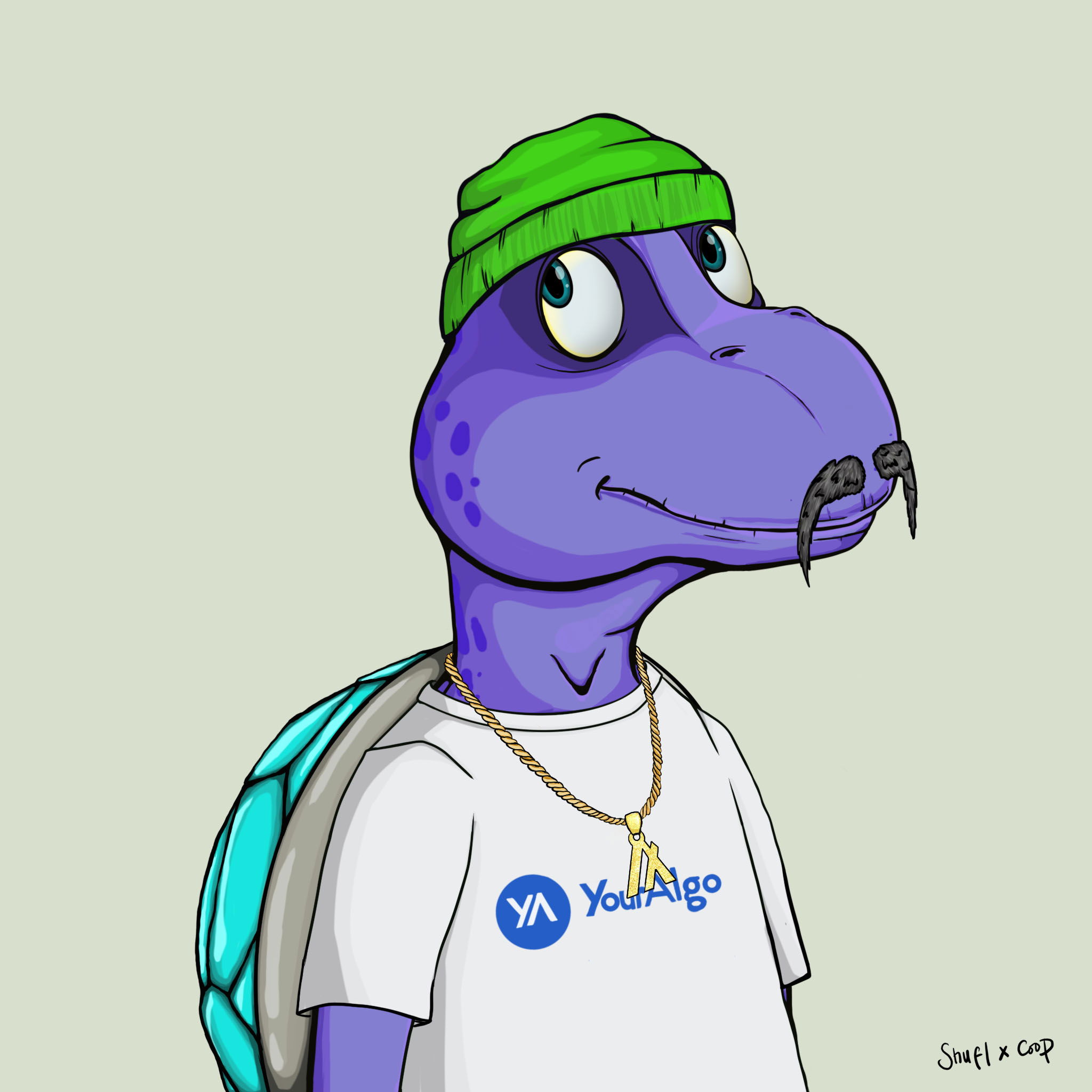 Coopa Troopa #342 NFT on Algorand