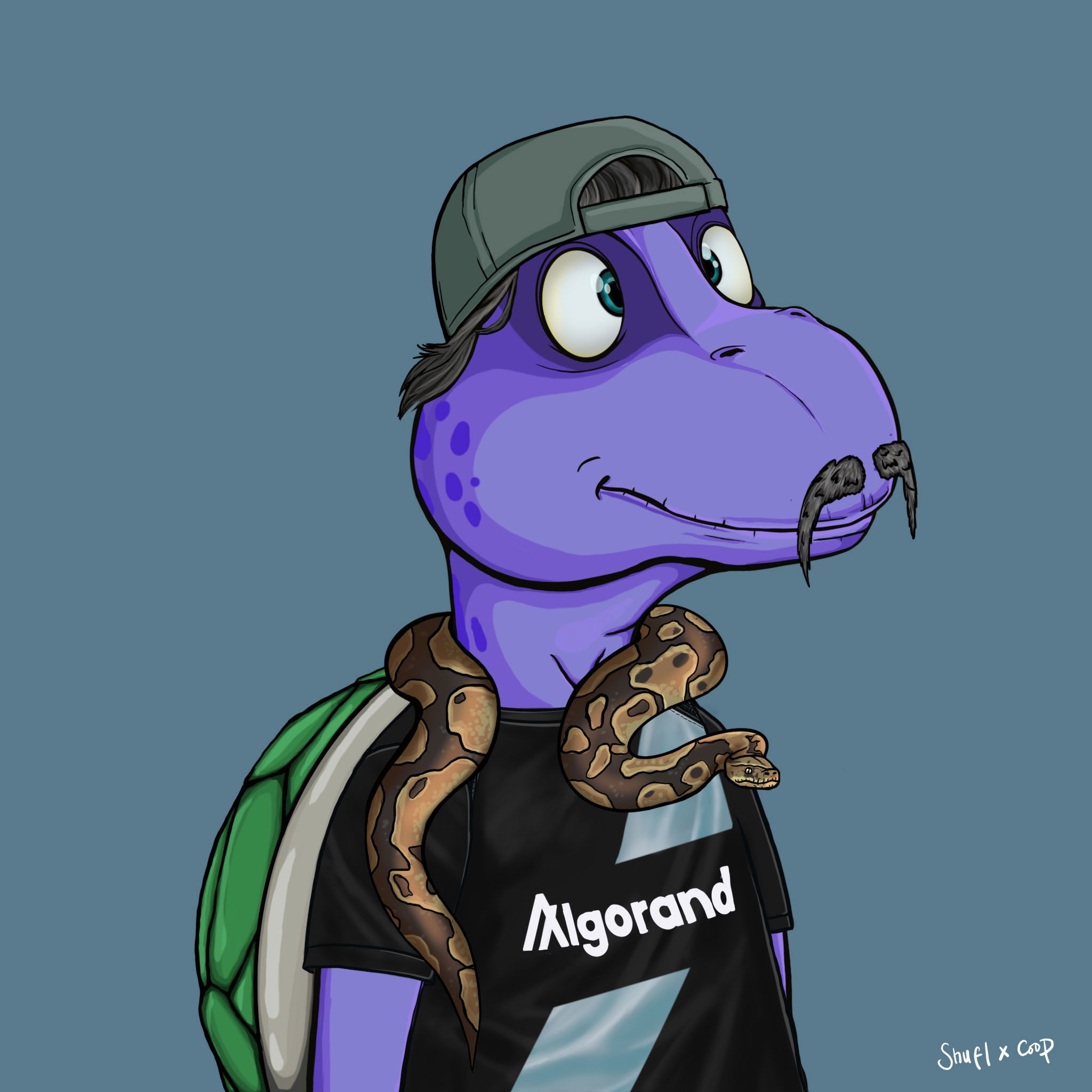 Coopa Troopa #354 NFT on Algorand