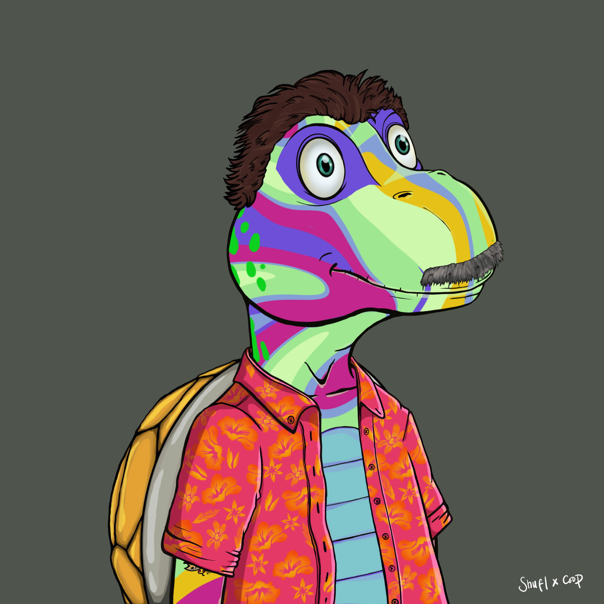 Coopa Troopa #370 NFT on Algorand