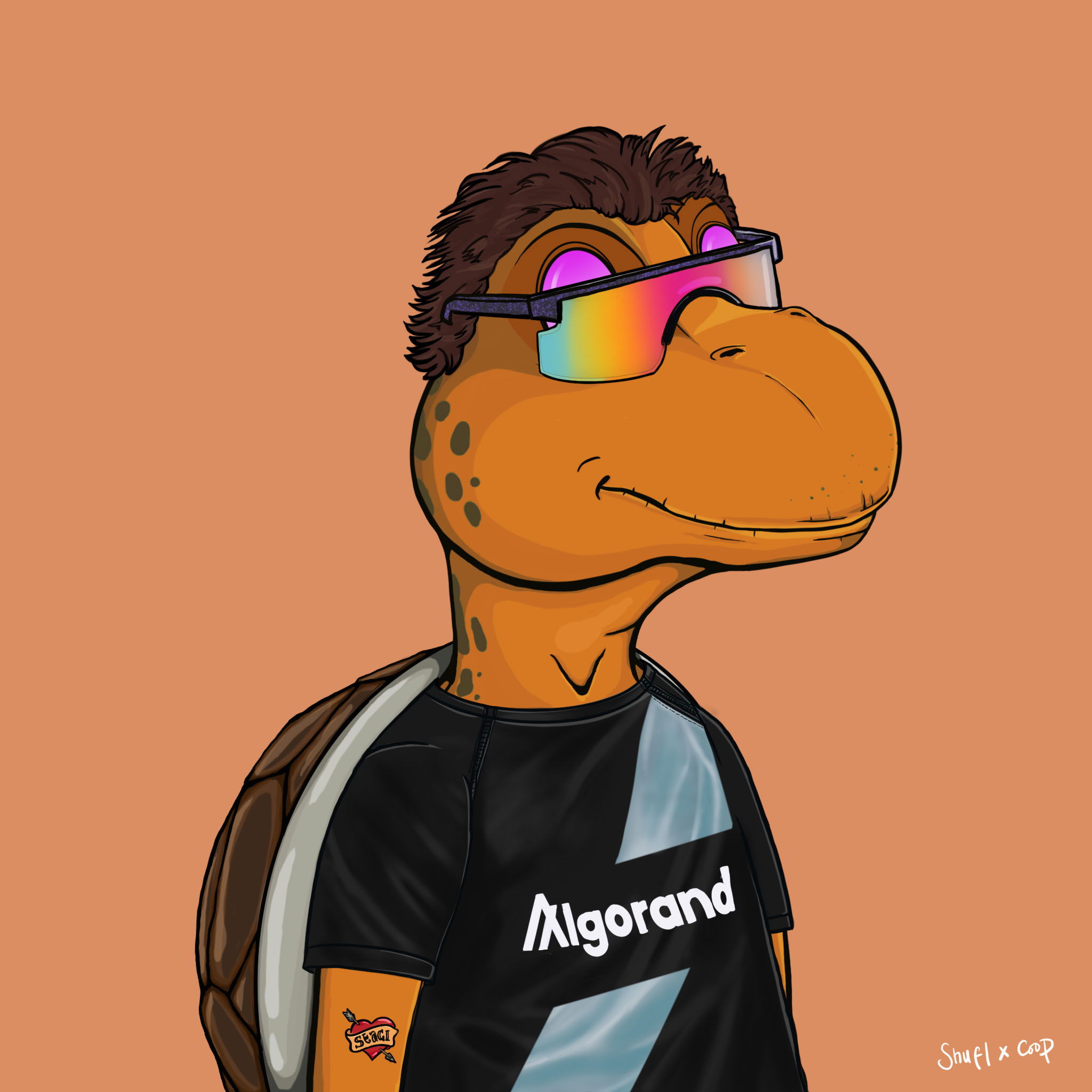 Coopa Troopa #376 NFT on Algorand