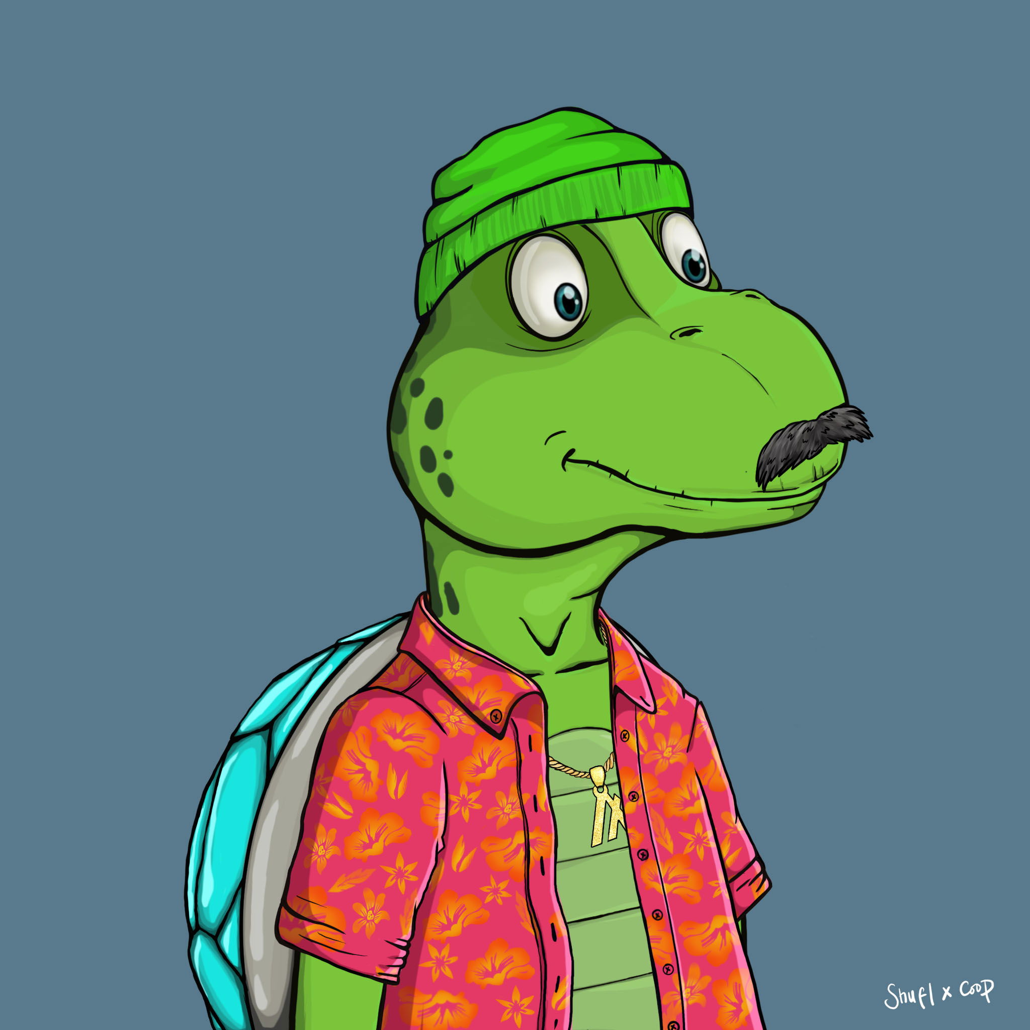 Coopa Troopa #414 NFT on Algorand