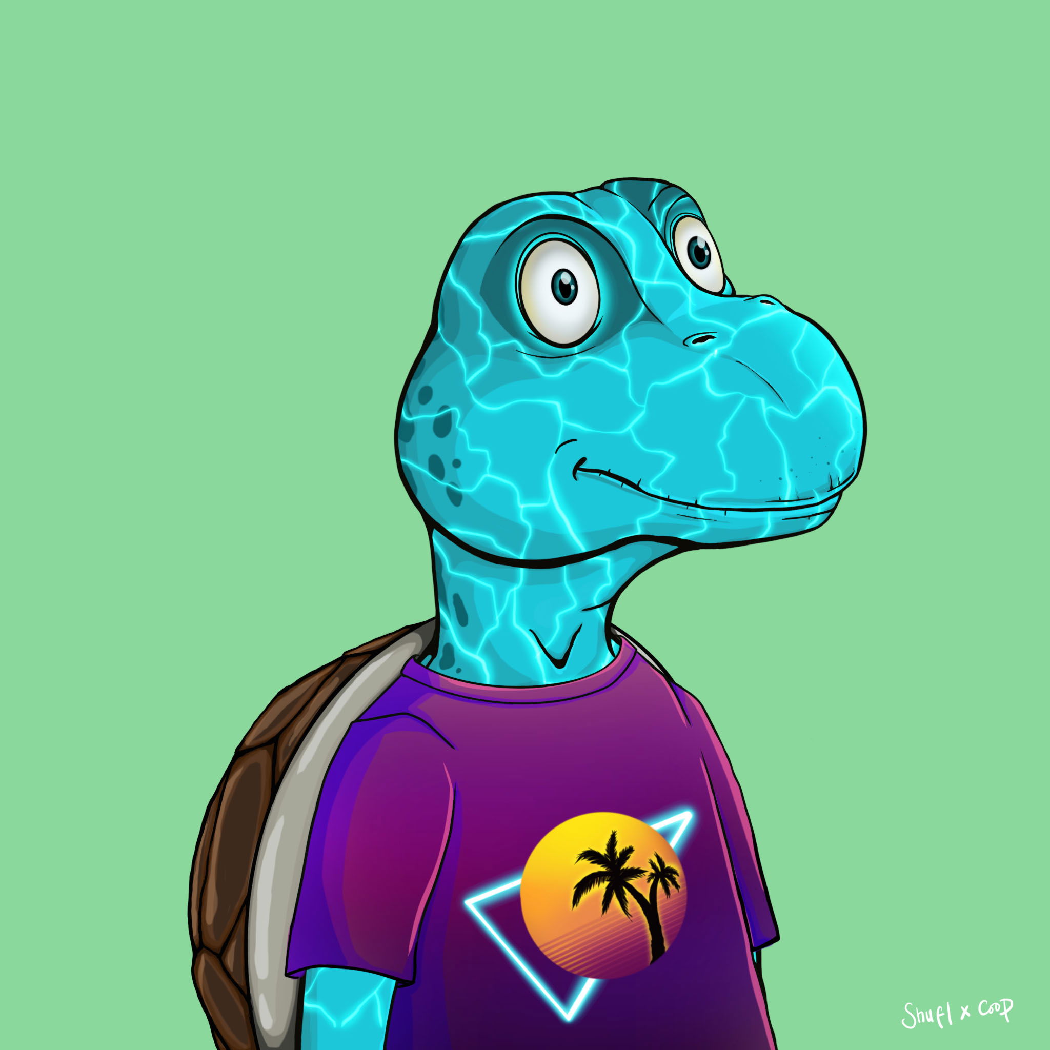 Coopa Troopa #415 NFT on Algorand