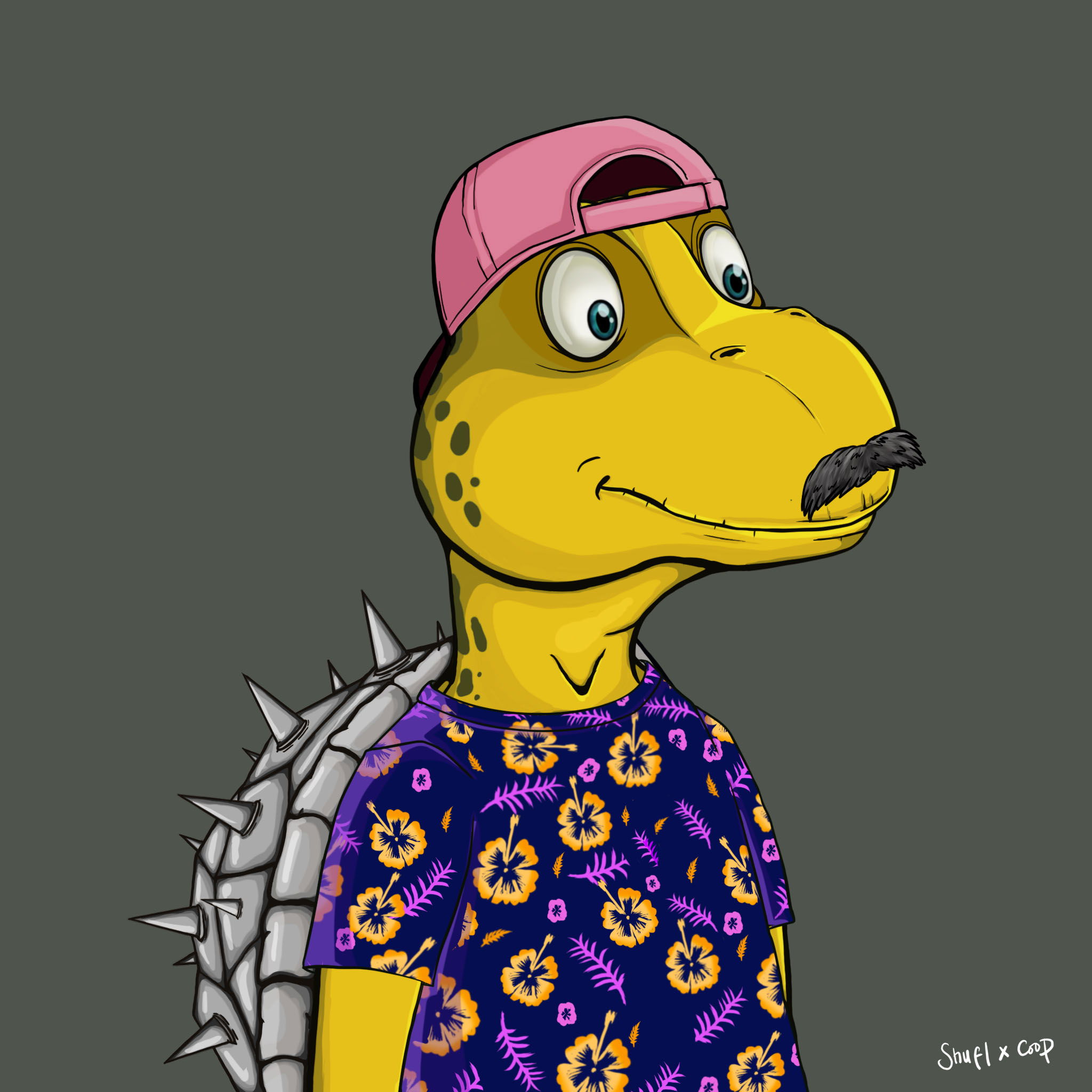 Coopa Troopa #419 NFT on Algorand