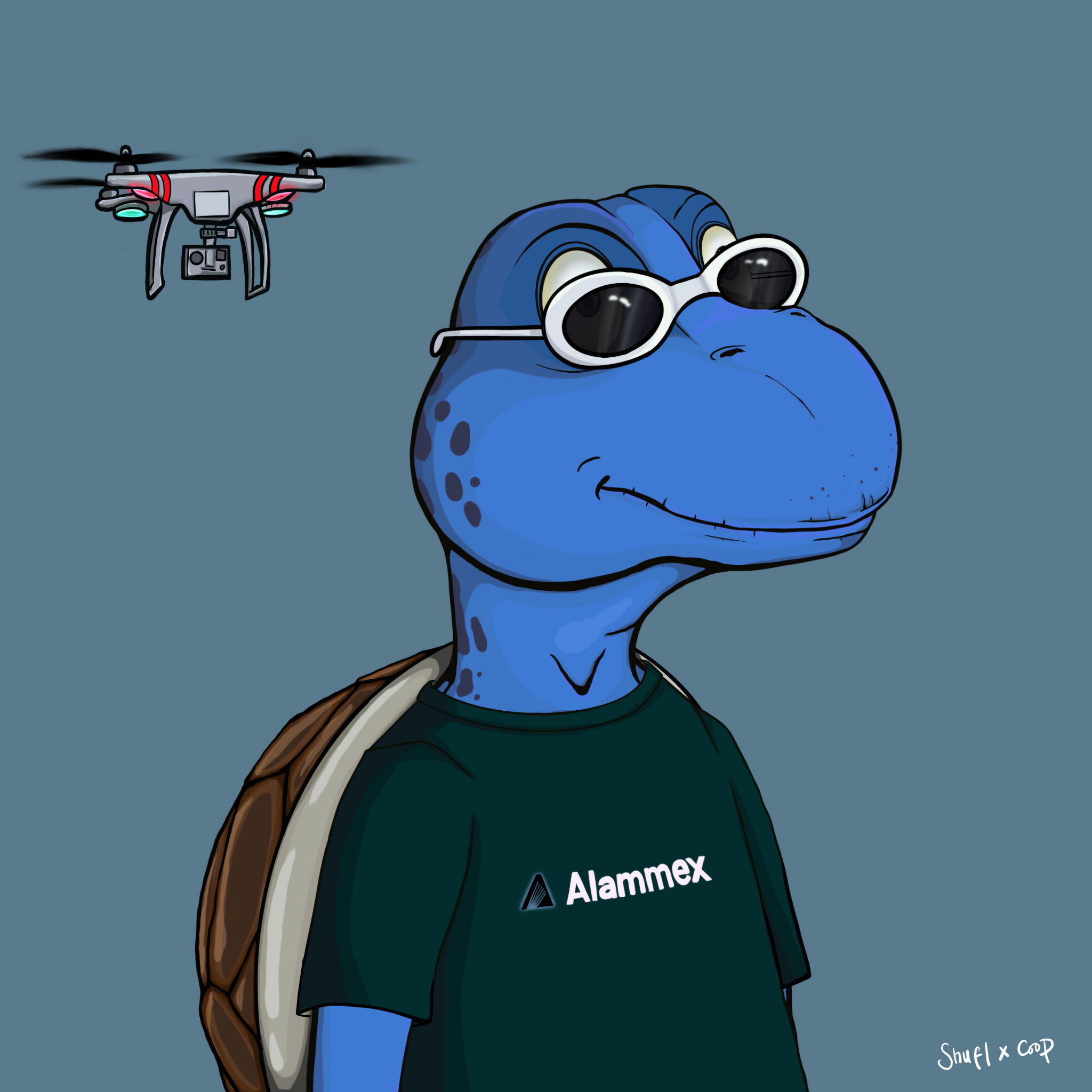 Coopa Troopa #460 NFT on Algorand