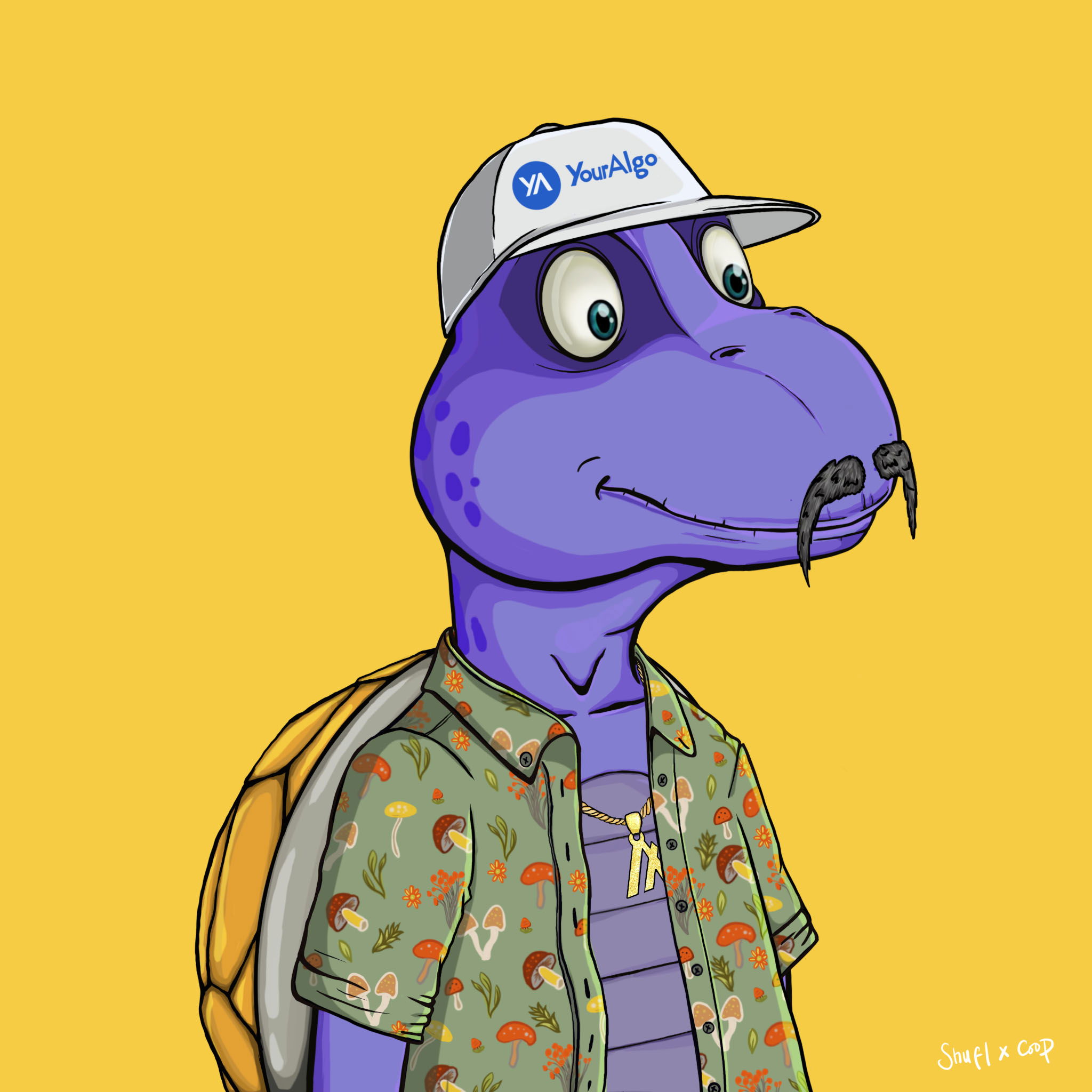 Coopa Troopa #464 NFT on Algorand