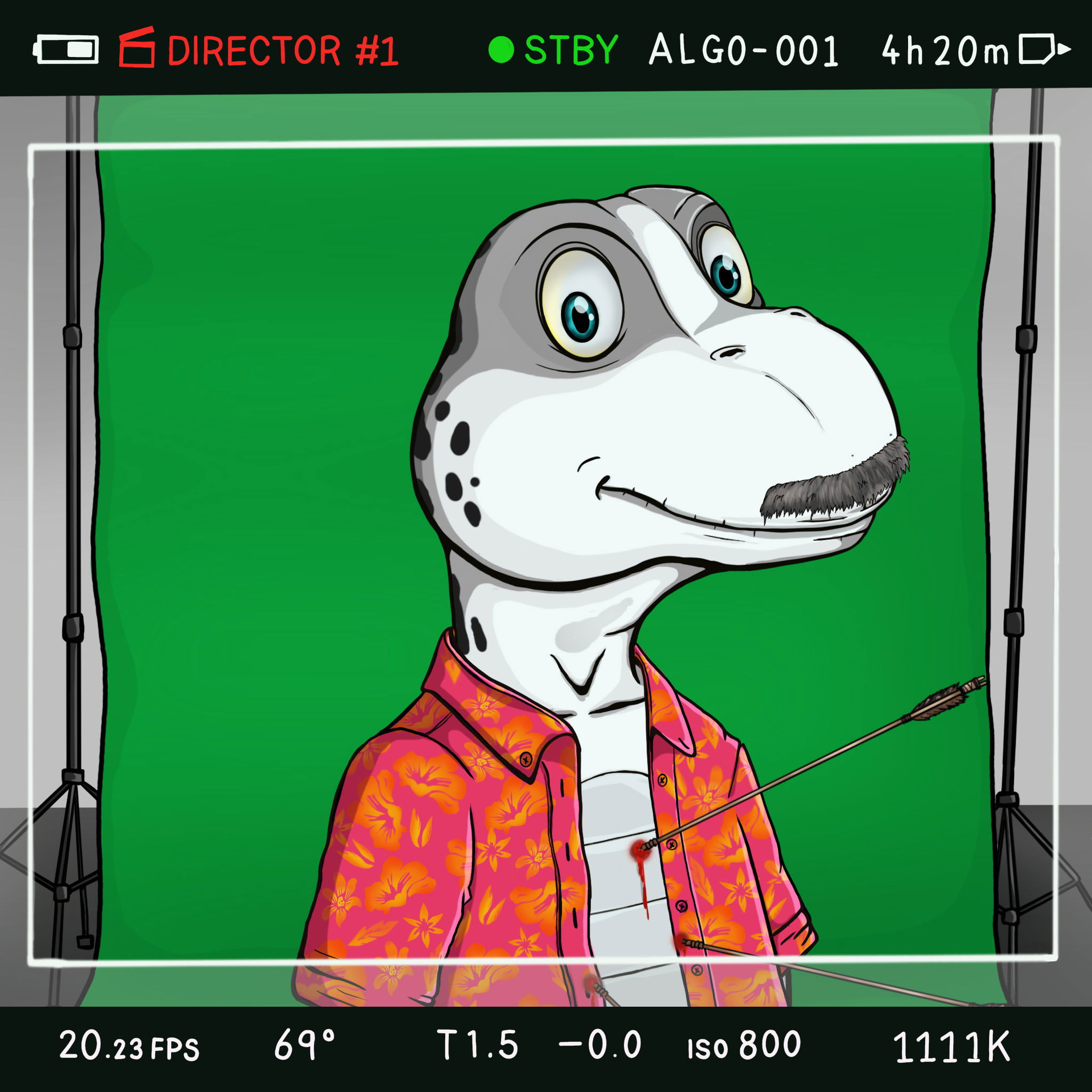 Coopa Troopa #481 NFT on Algorand