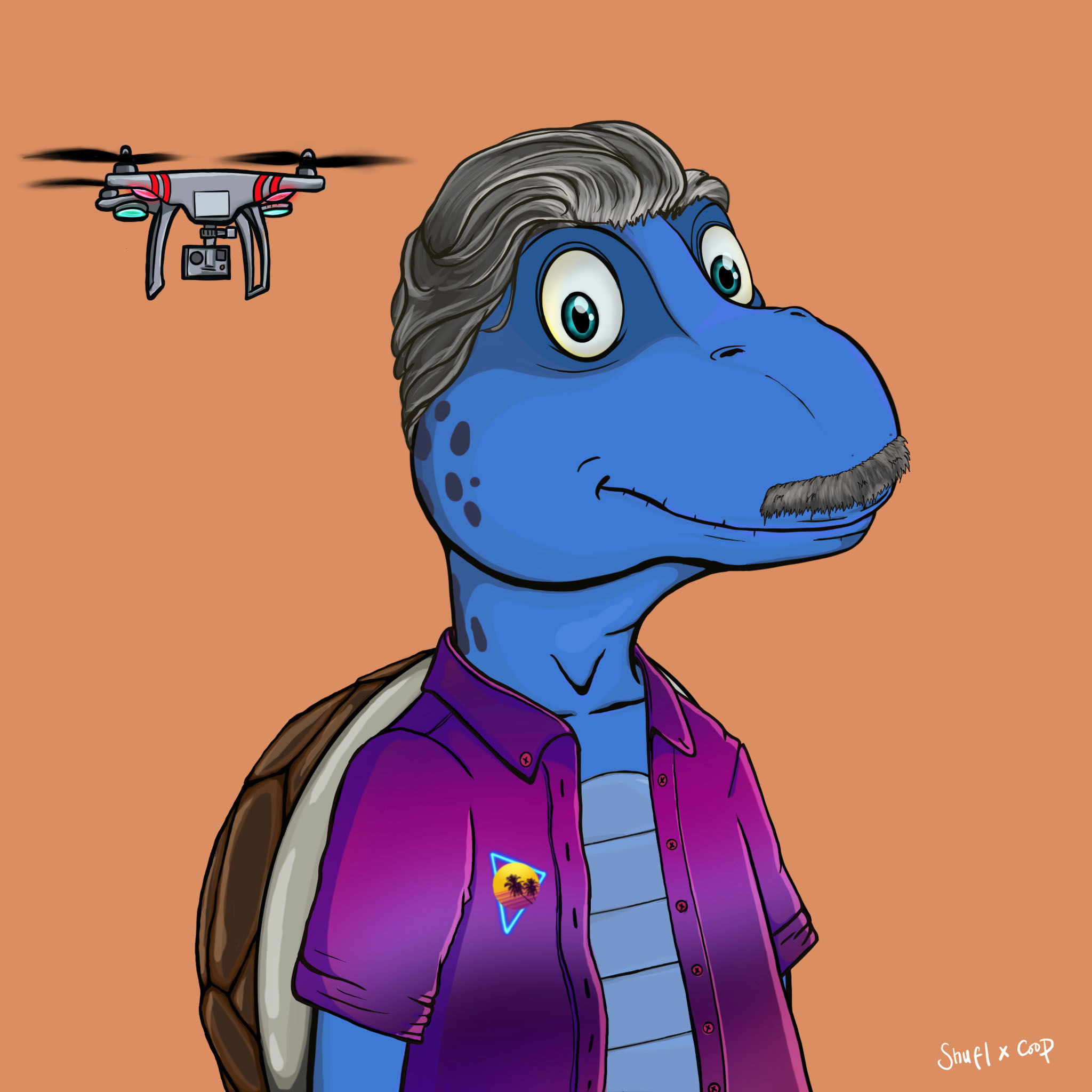 Coopa Troopa #505 NFT on Algorand