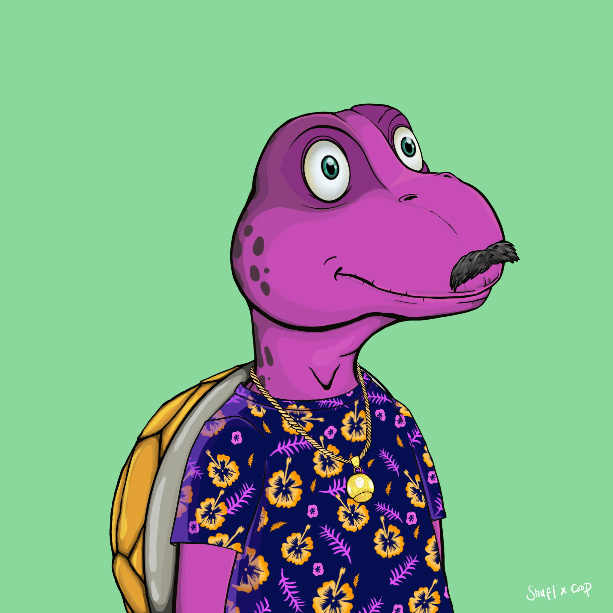 Coopa Troopa #506 NFT on Algorand