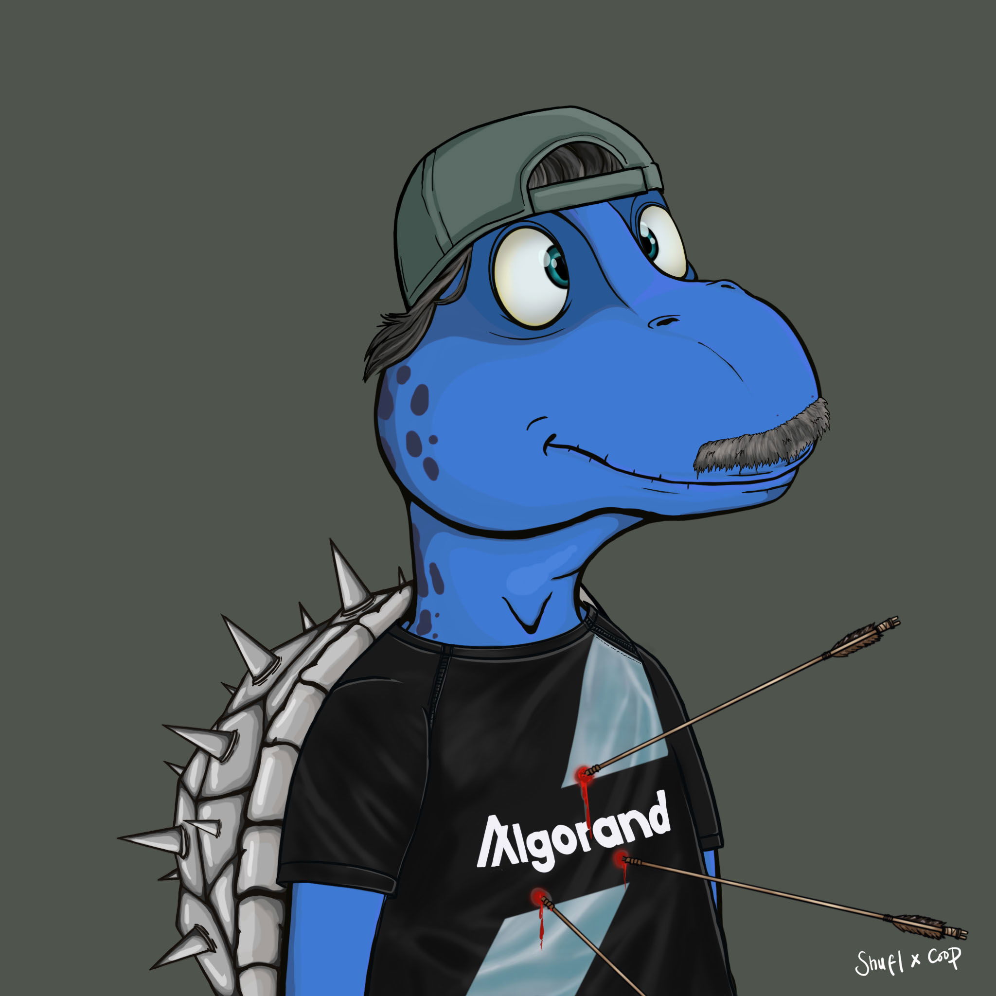 Coopa Troopa #507 NFT on Algorand