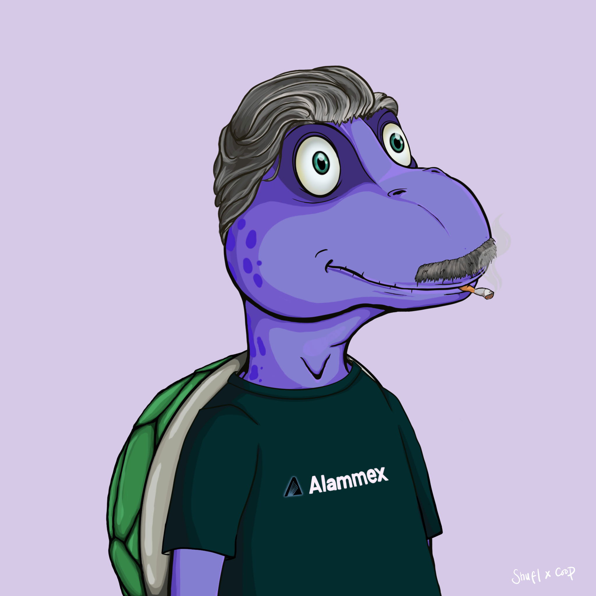 Coopa Troopa #526 NFT on Algorand