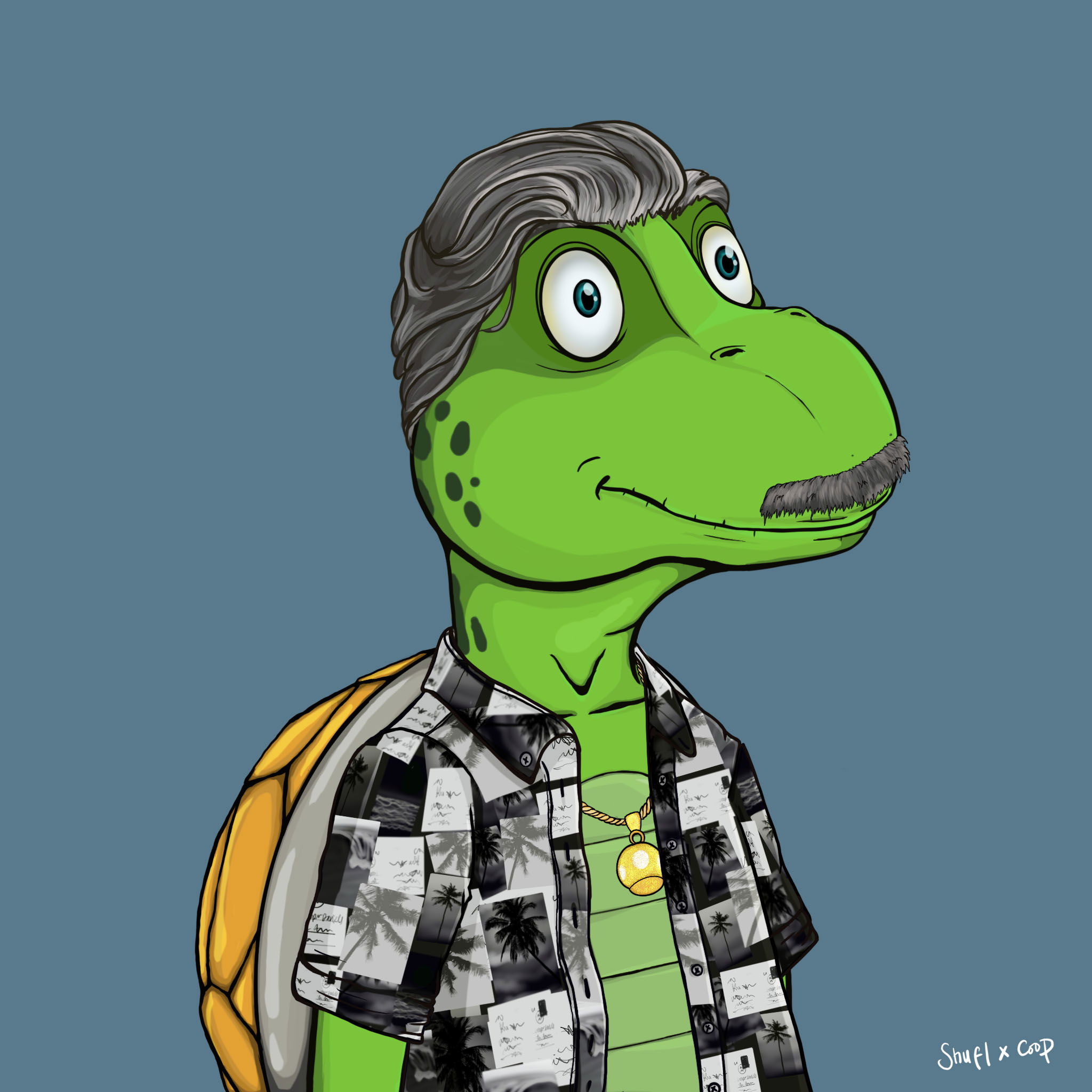 Coopa Troopa #527 NFT on Algorand