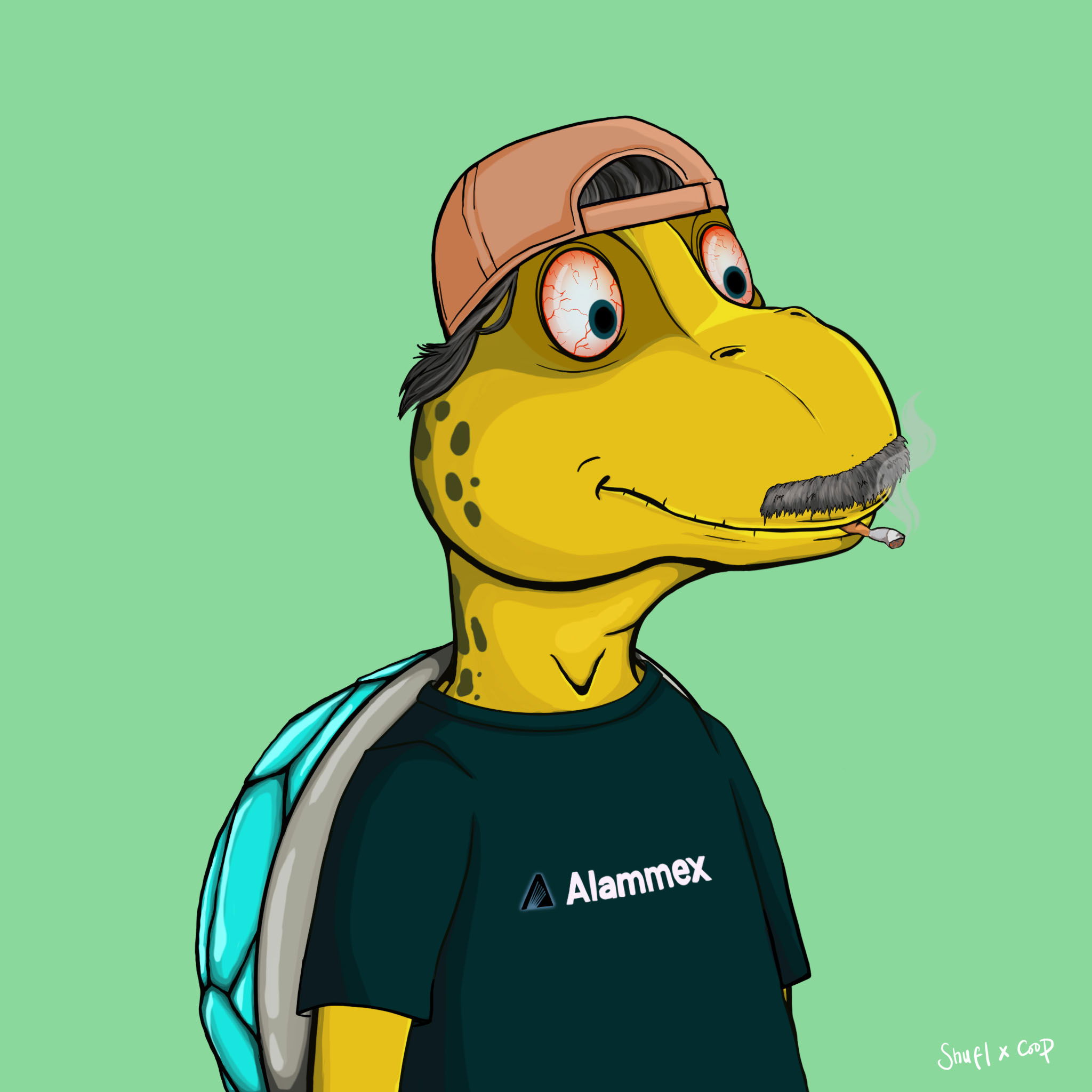 Coopa Troopa #536 NFT on Algorand