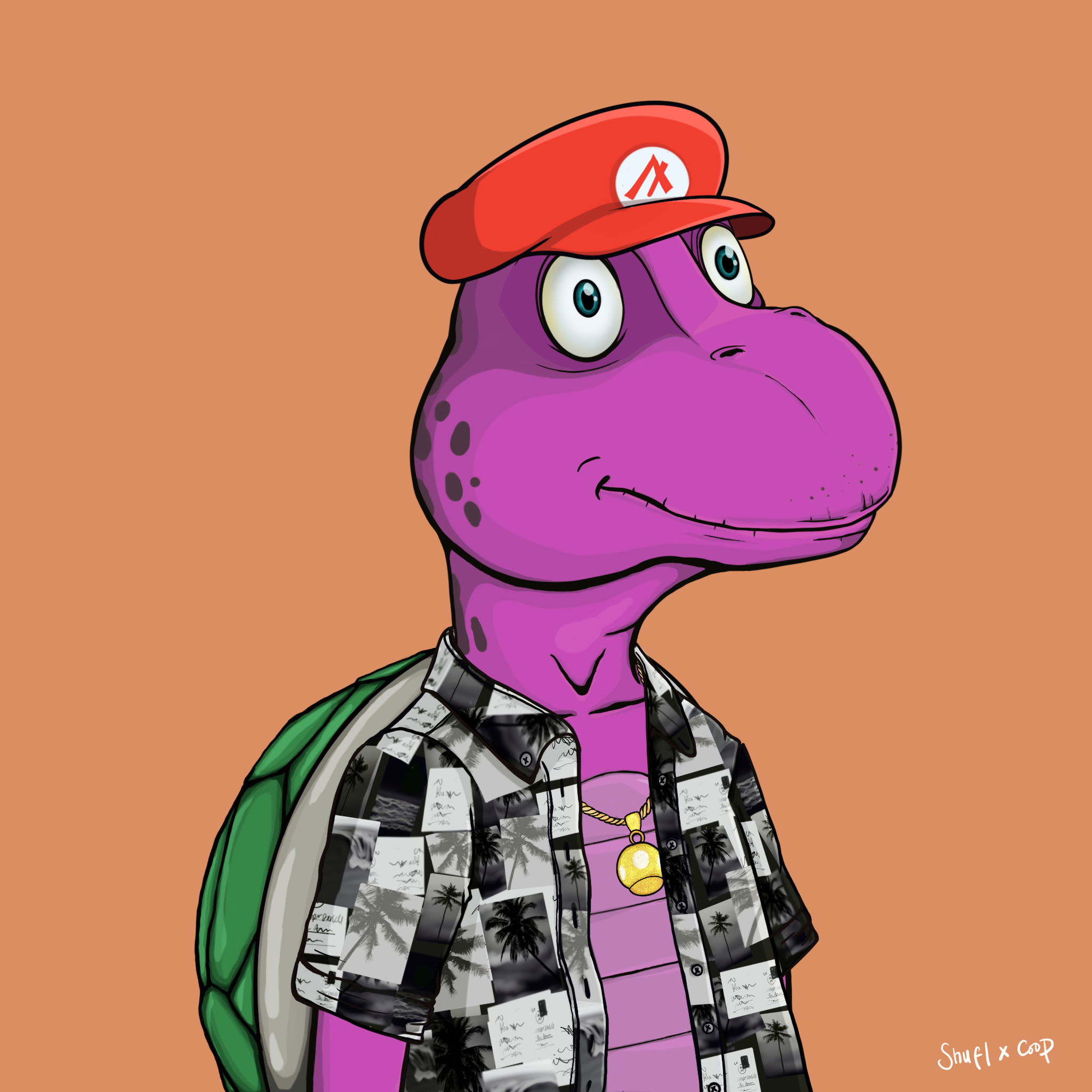 Coopa Troopa #542 NFT on Algorand