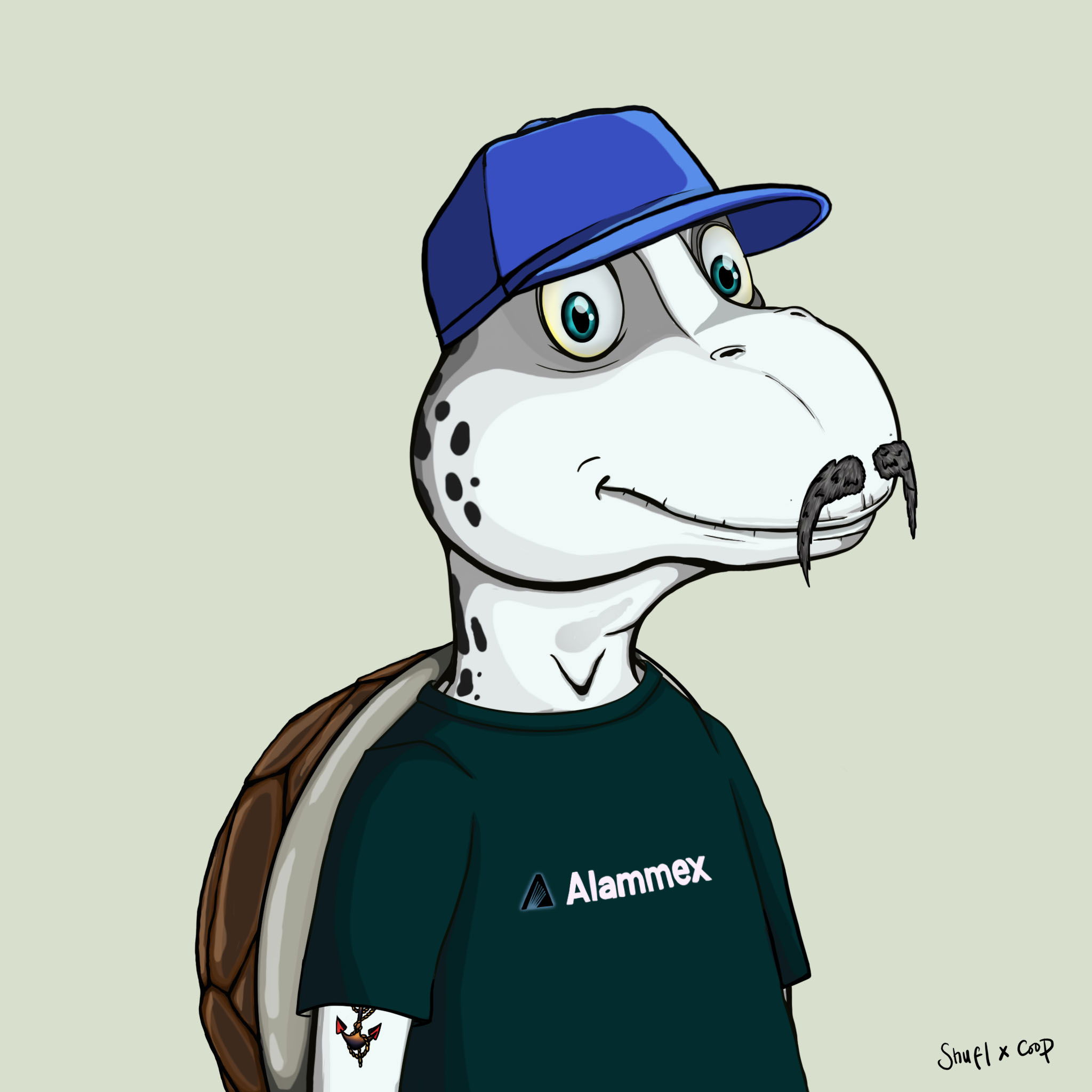 Coopa Troopa #543 NFT on Algorand