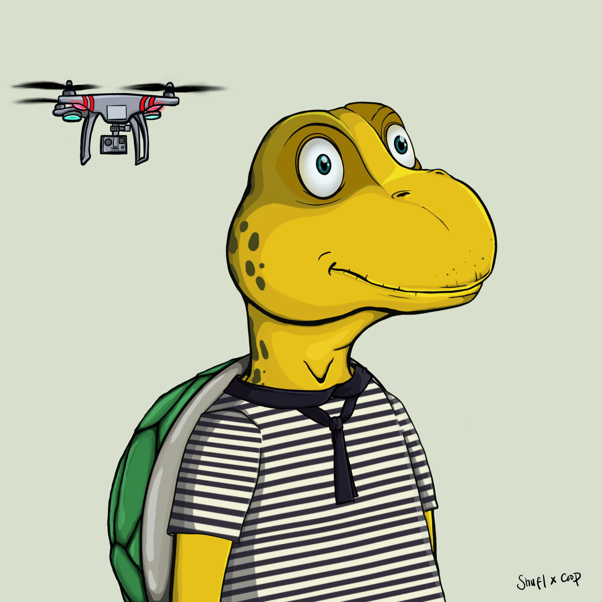 Coopa Troopa #554 NFT on Algorand