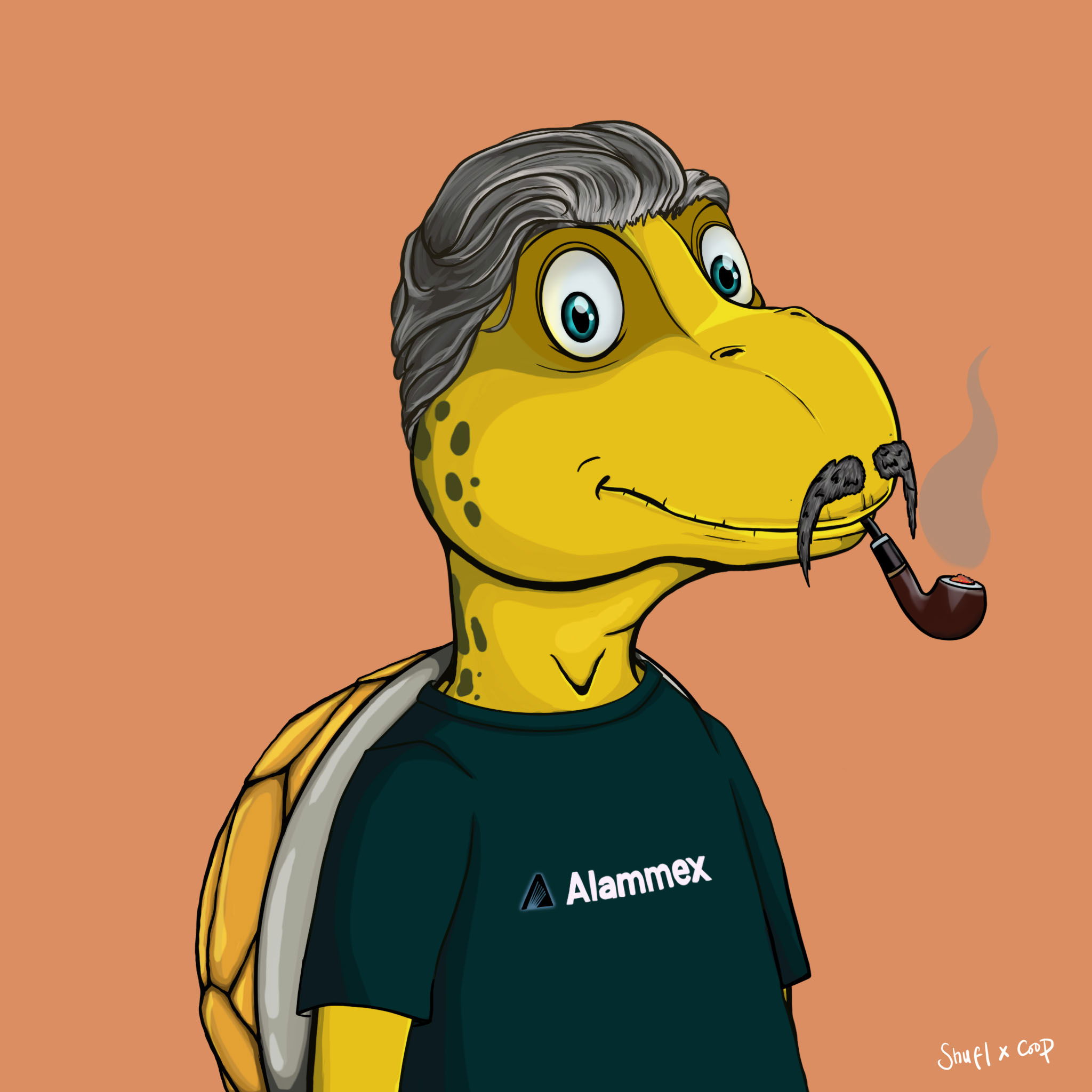 Coopa Troopa #555 NFT on Algorand