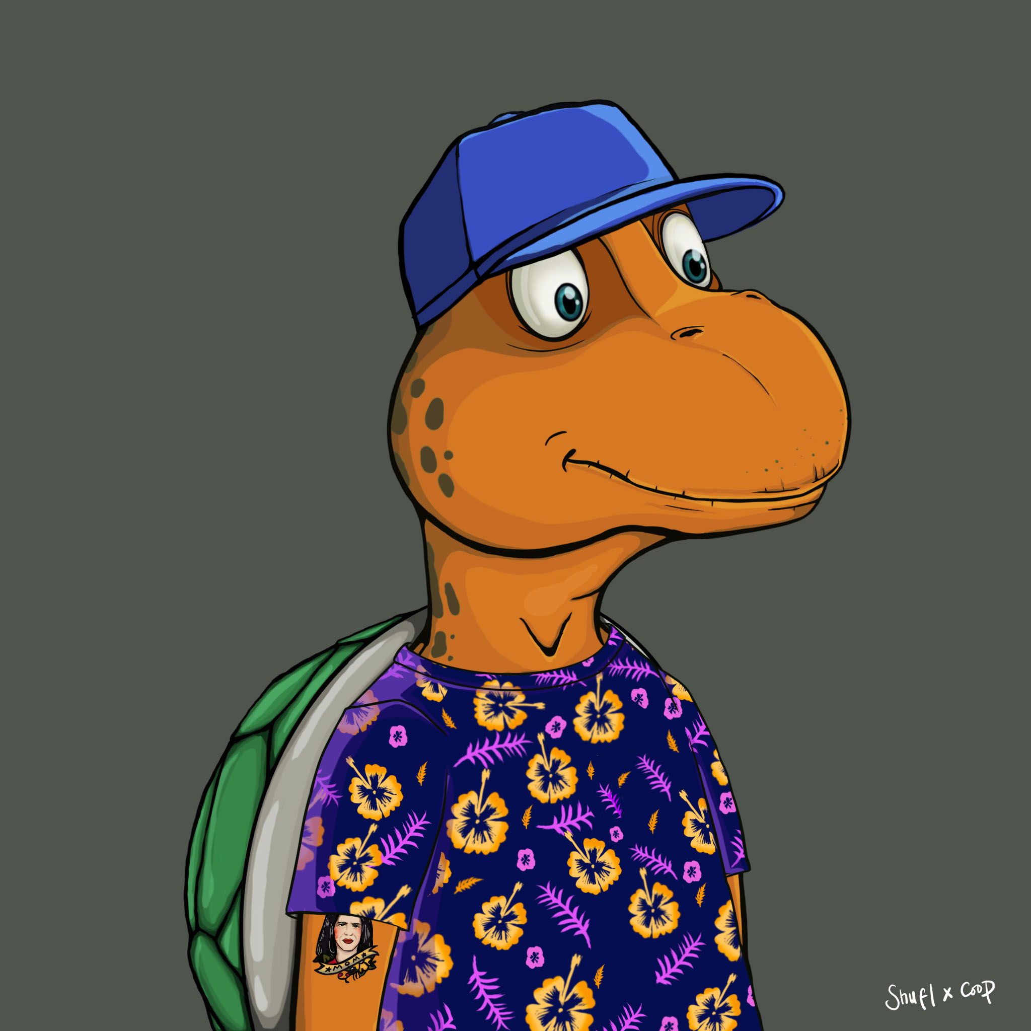 Coopa Troopa #570 NFT on Algorand