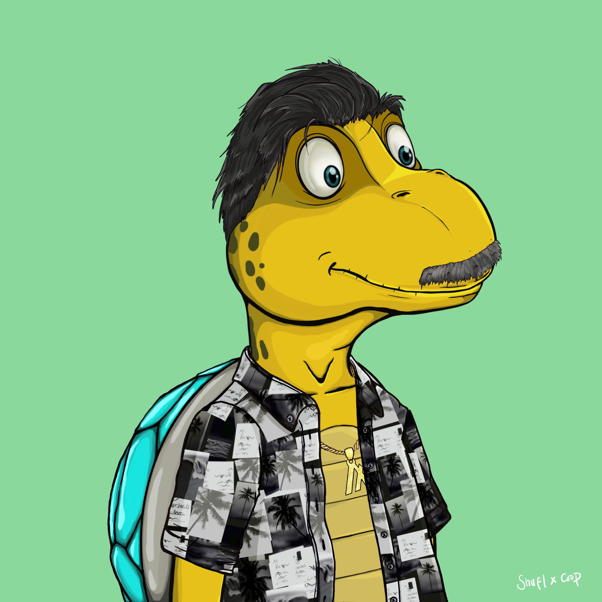 Coopa Troopa #578 NFT on Algorand