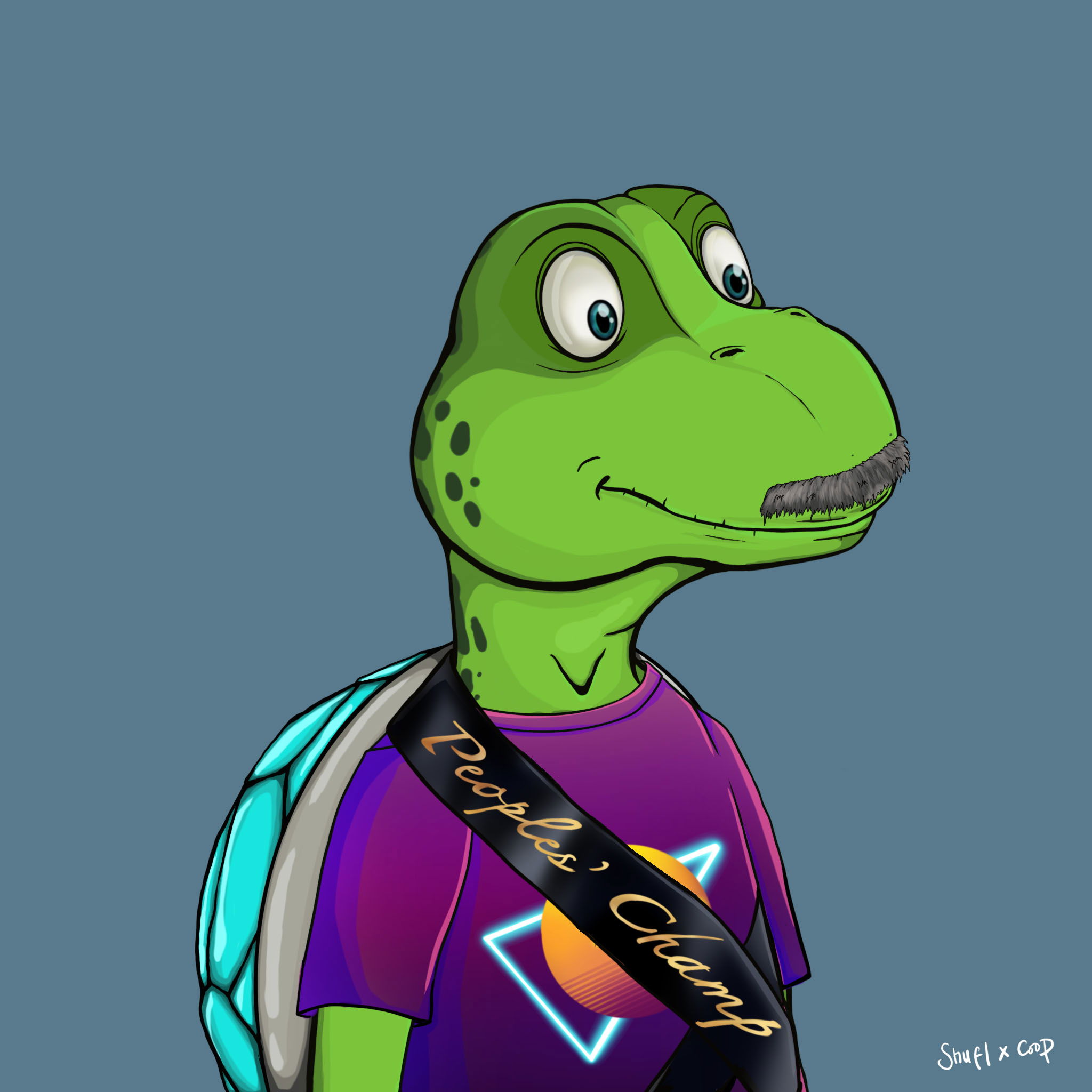 Coopa Troopa #580 NFT on Algorand