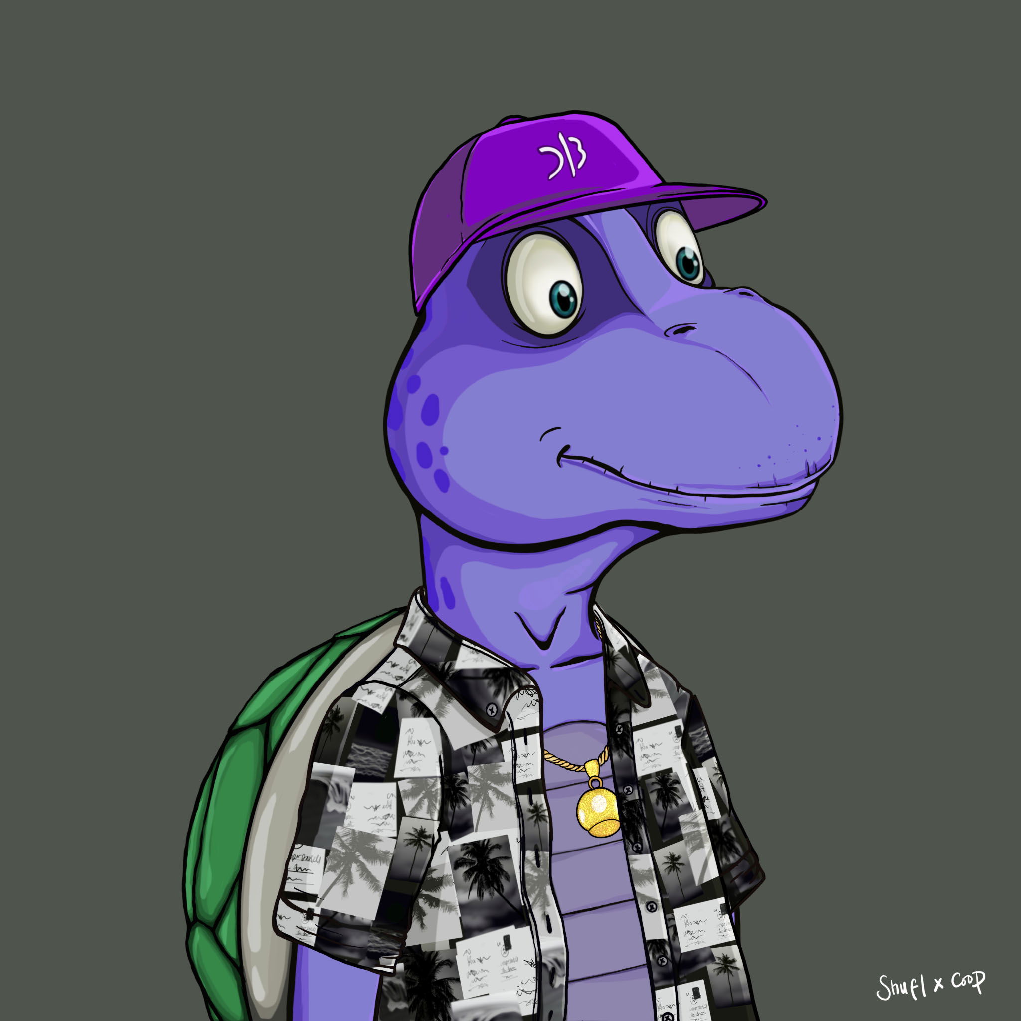 Coopa Troopa #592 NFT on Algorand