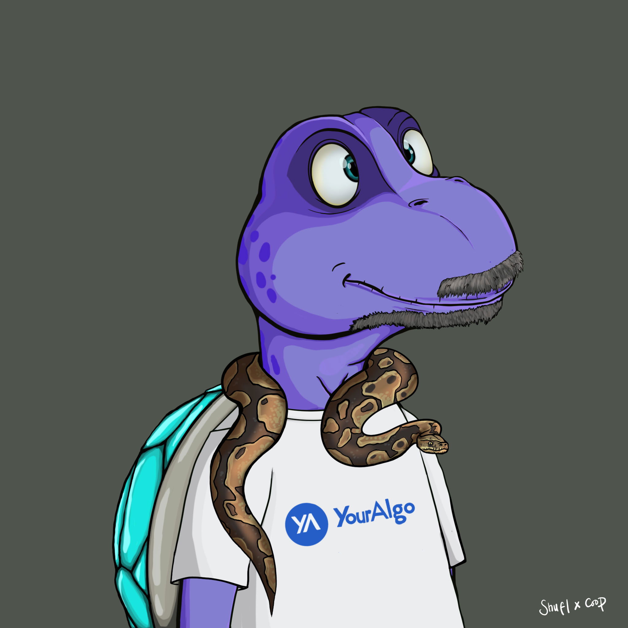 Coopa Troopa #602 NFT on Algorand